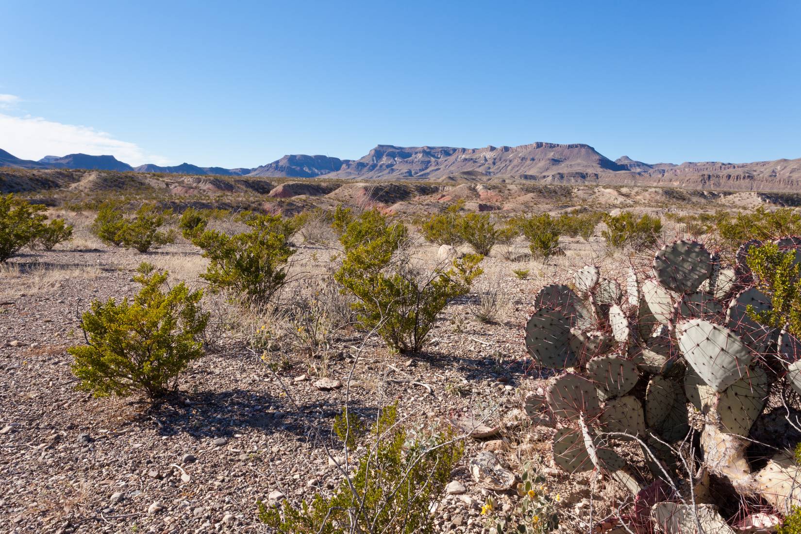 Big Bend Ranch State Park, Texas