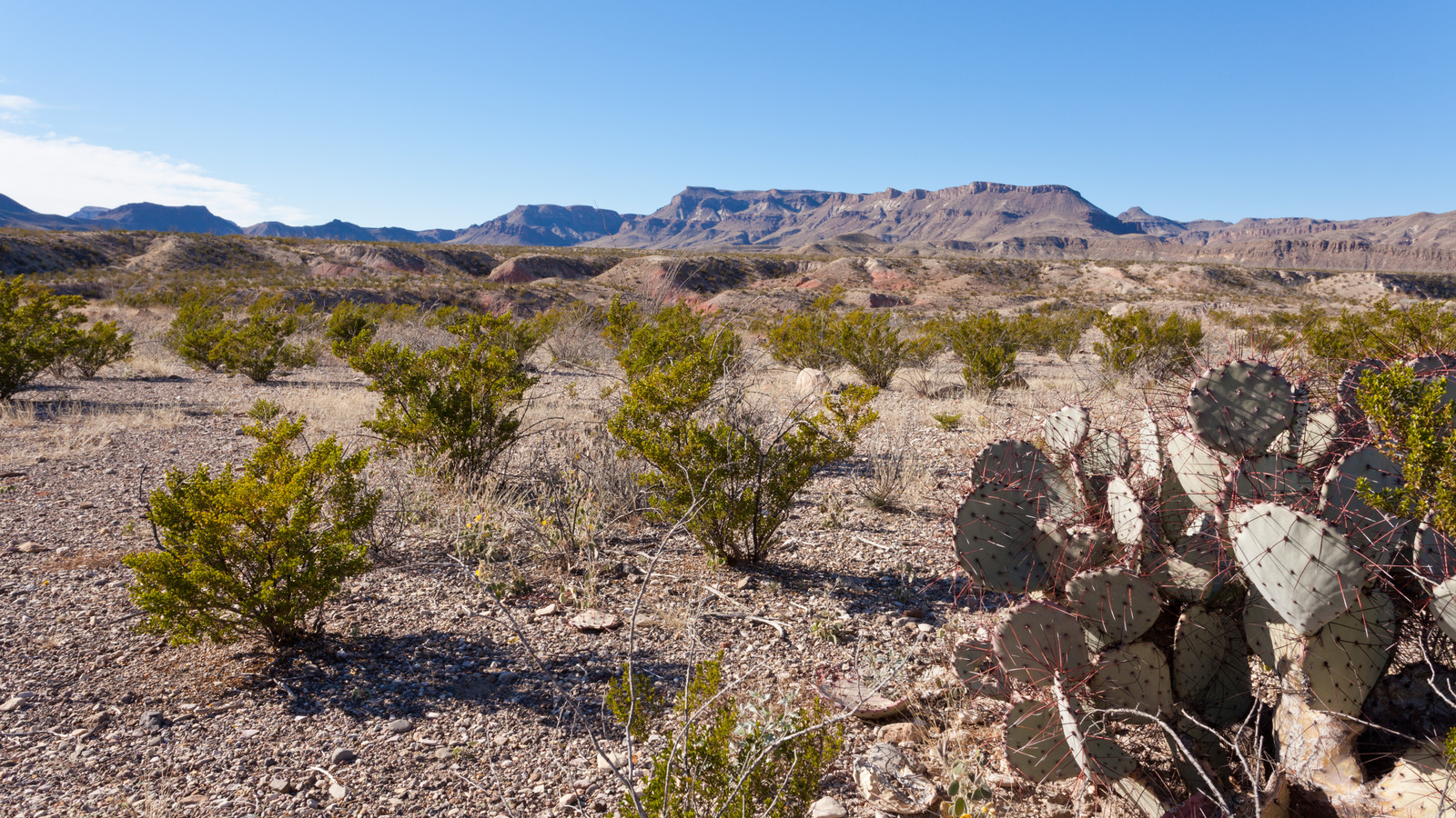 U.S. Homeland Security’s National Park Border Wall Takes Another Unexpected Turn After Canceling Construction
