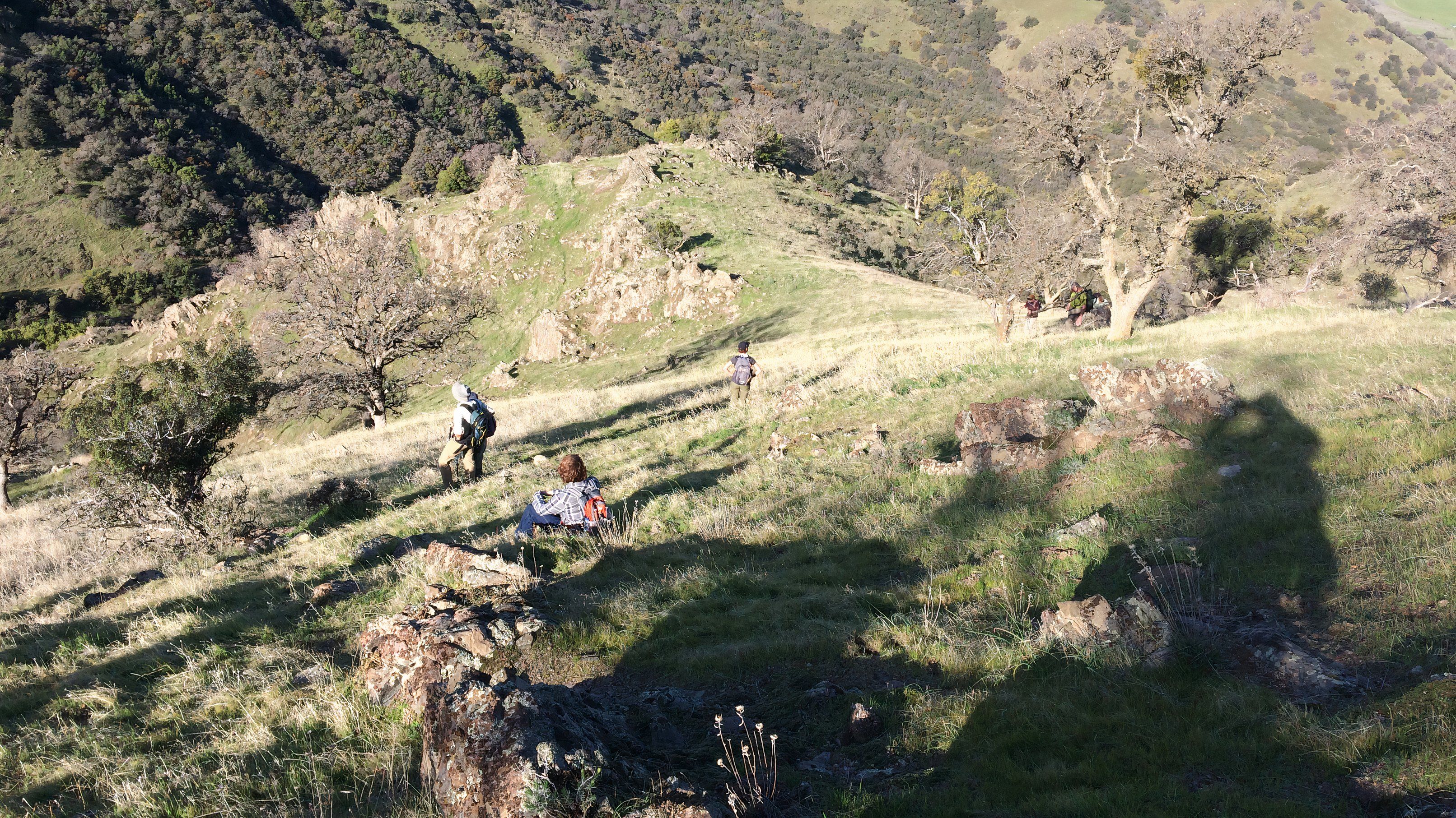 Why You Can't Visit This California State Park In The Mountains