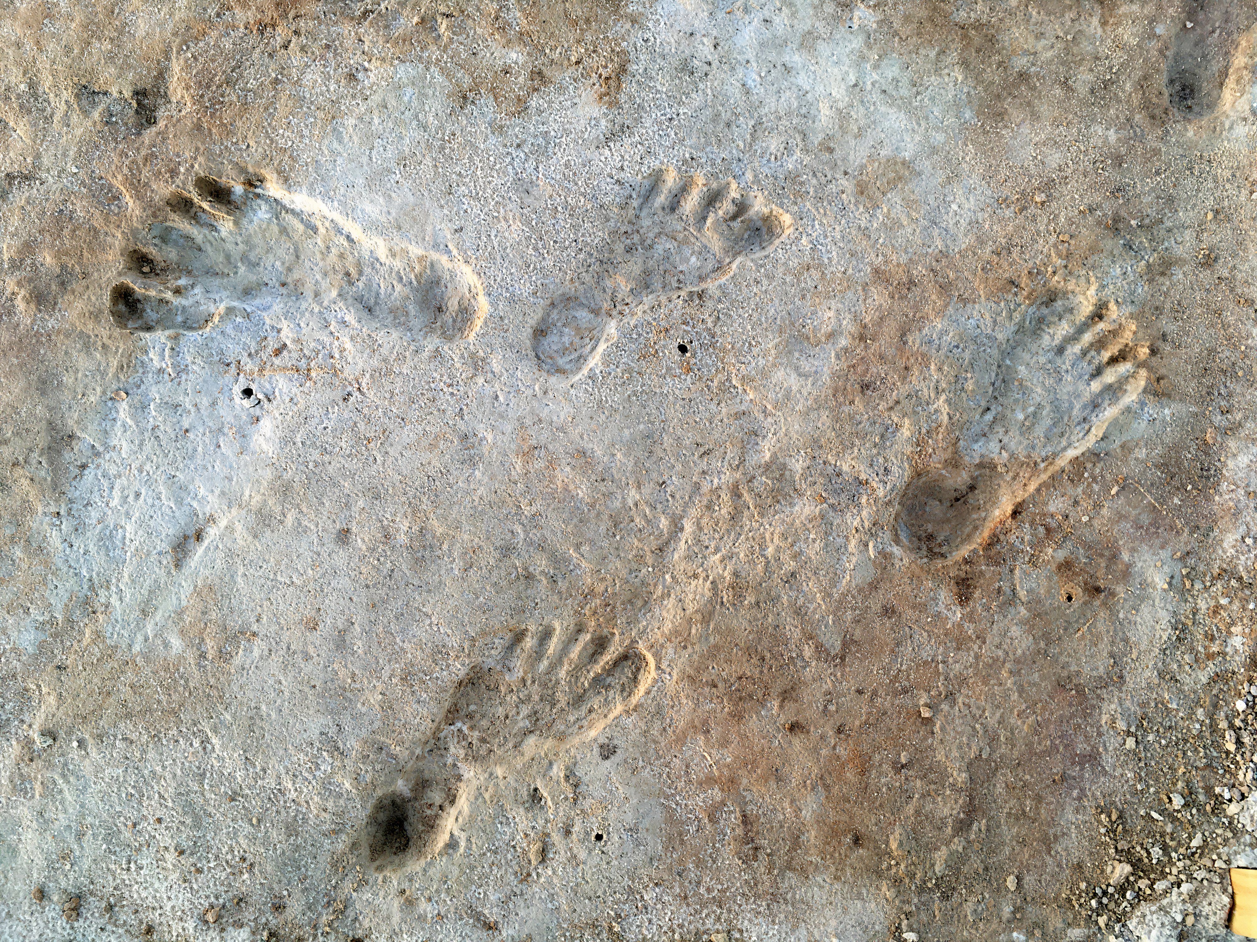 7 Discoveries That Altered Known History