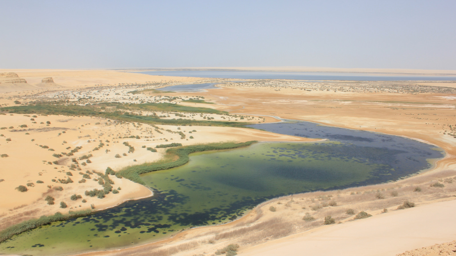 Climate Change Has Altered the Sahara Desert's Landscape, Turning It Into a  Tropical Oasis, image size:1600x900