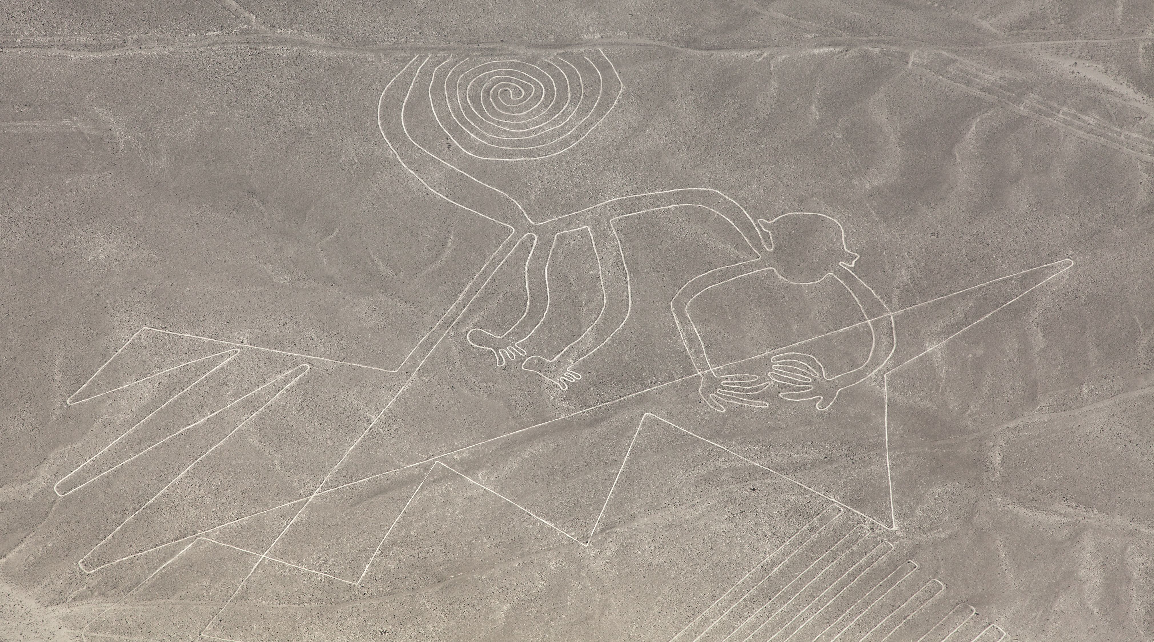 Archaeologists Baffled By A Giant Cat At The Mysterious Nazca Lines ...