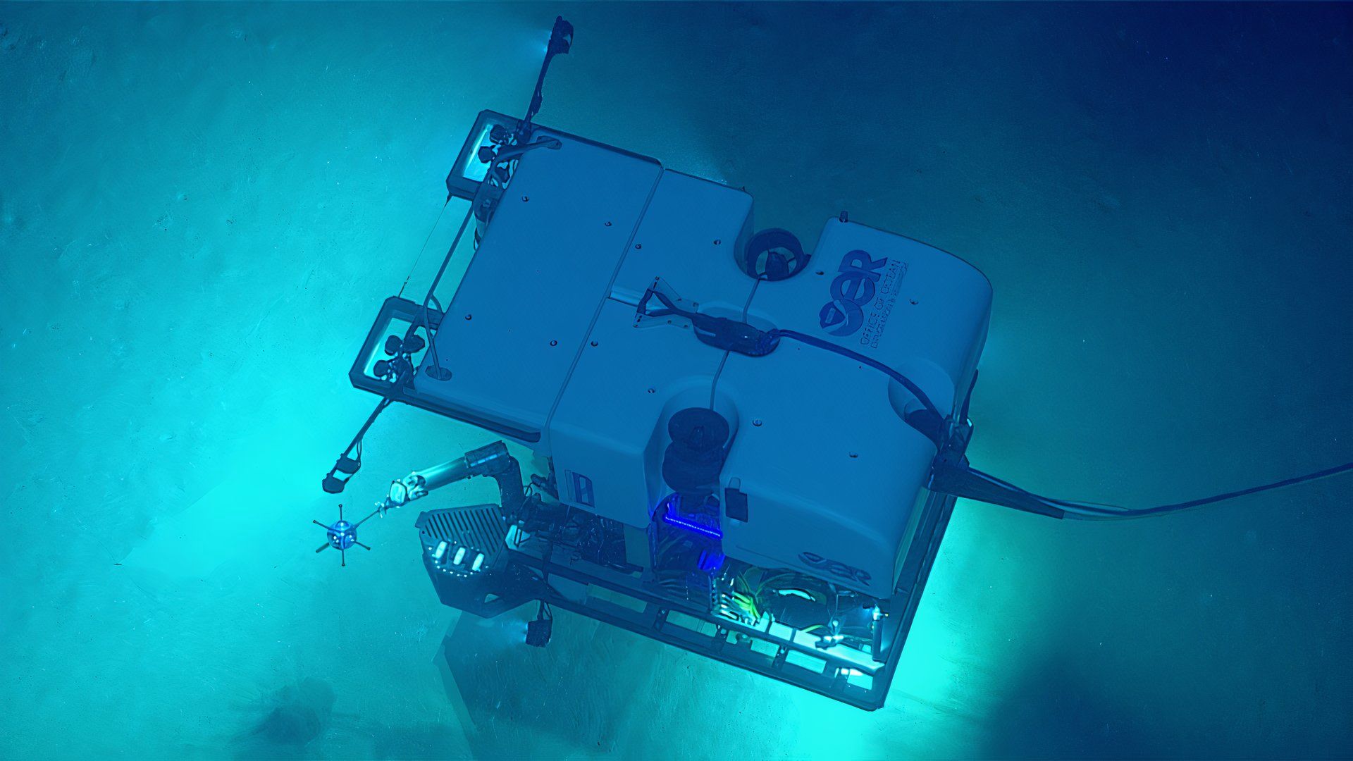 Major Discovery Shows Life Thriving In Earth's Crust Under The Seafloor
