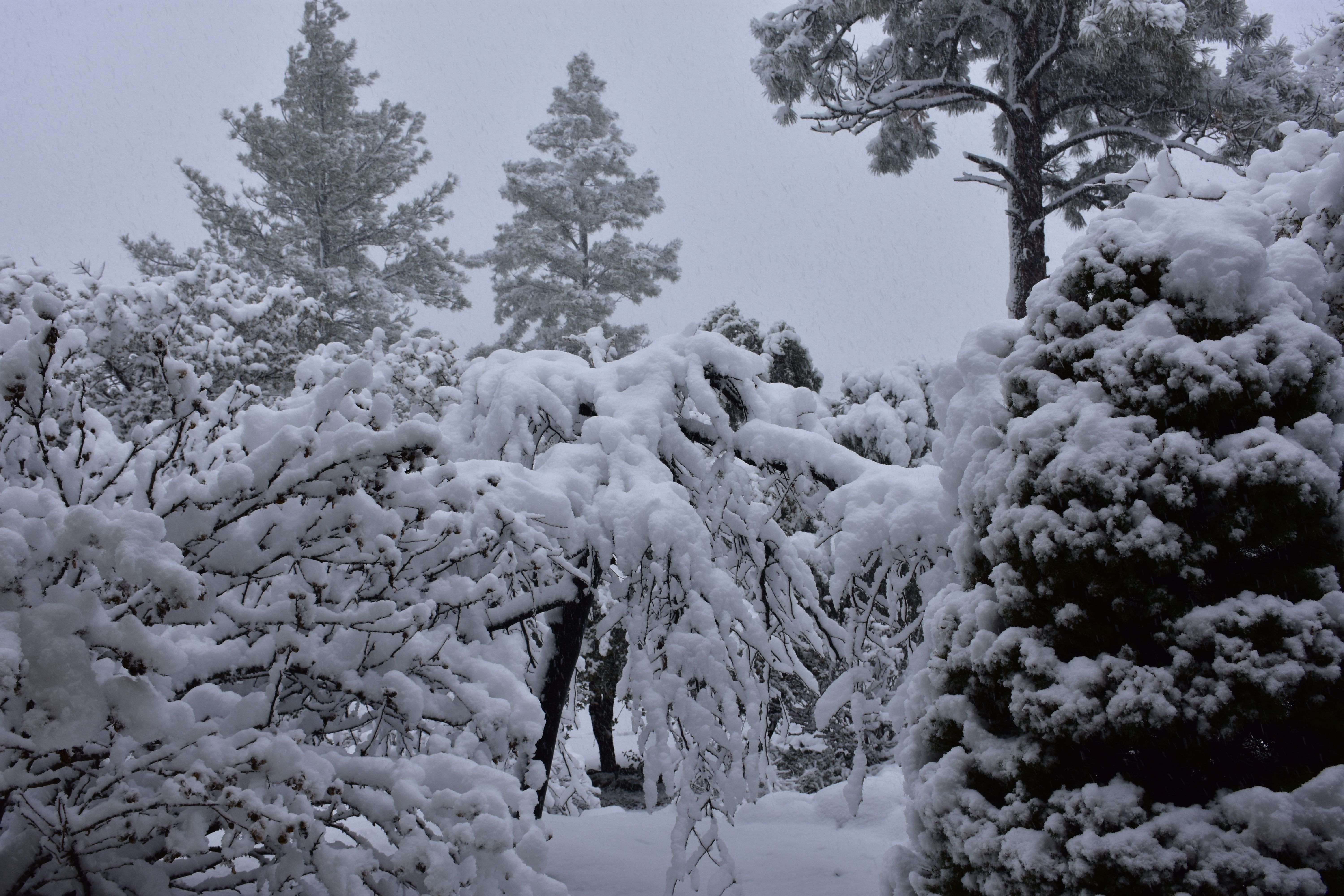 Skip The Grand Canyon Over The Holidays For 