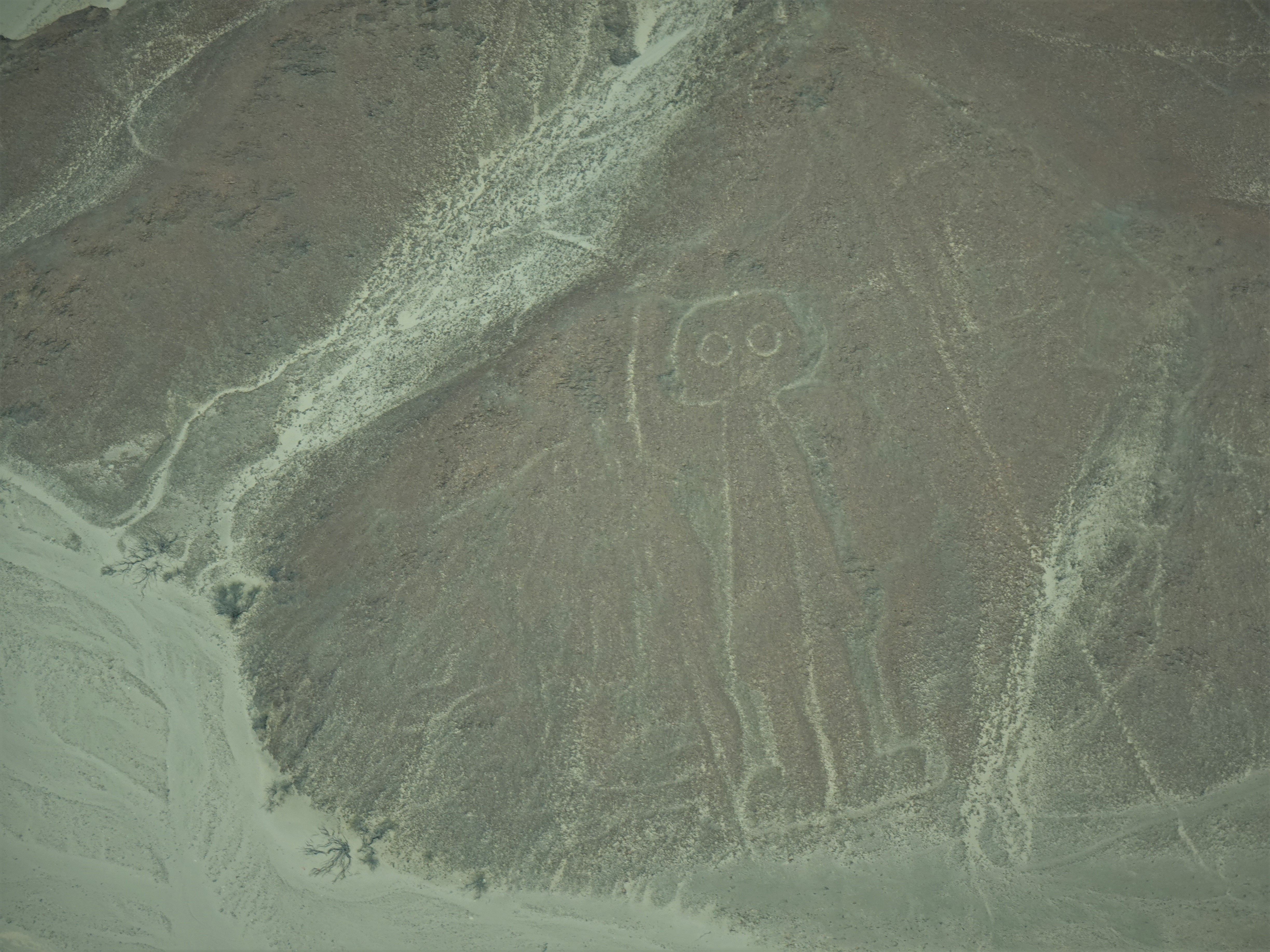 Newly Discovered Geoglyphs Depict Alien-Like Figures In The Nazca Desert