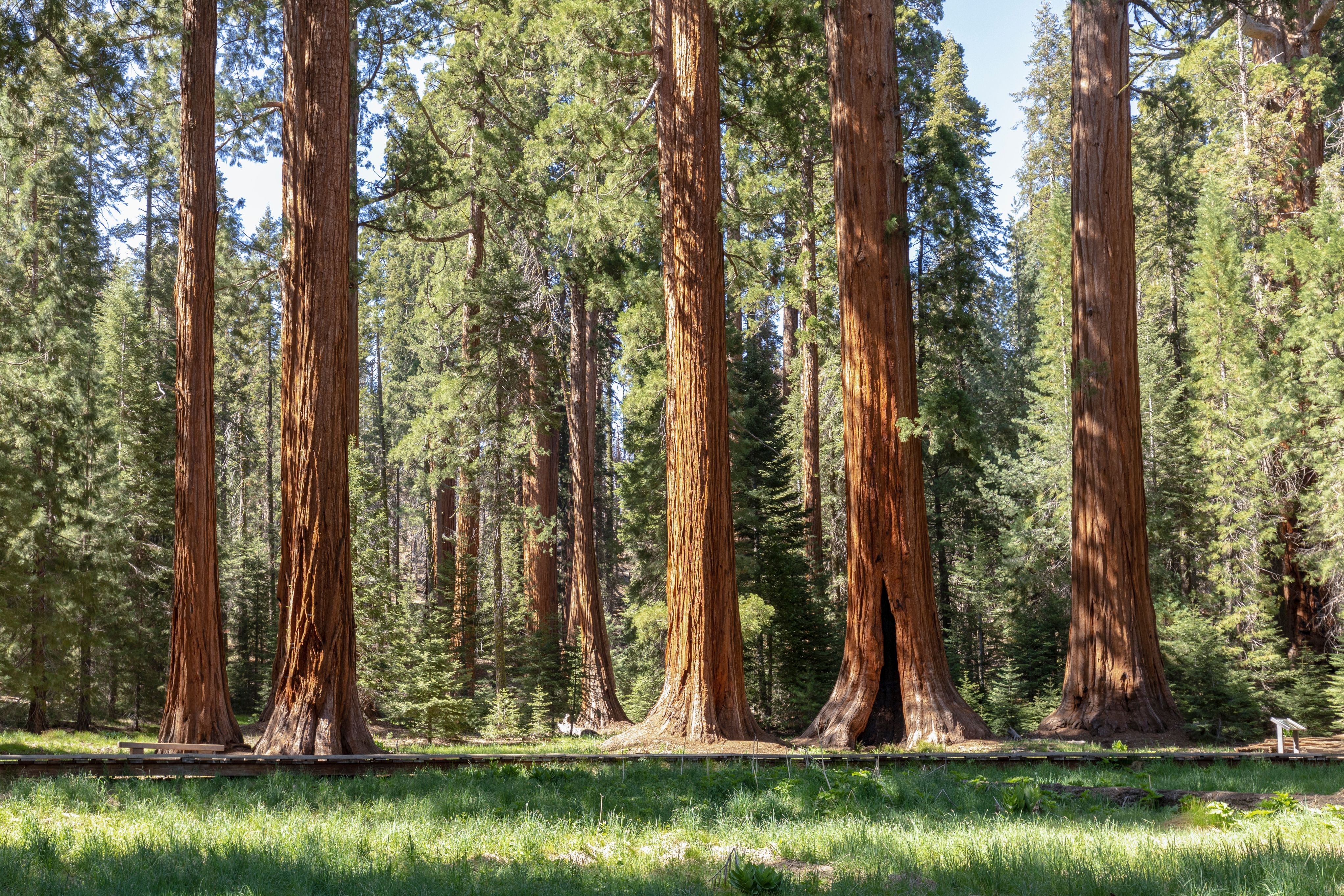 This Is The Most Secret Spot In Sequoia National Park