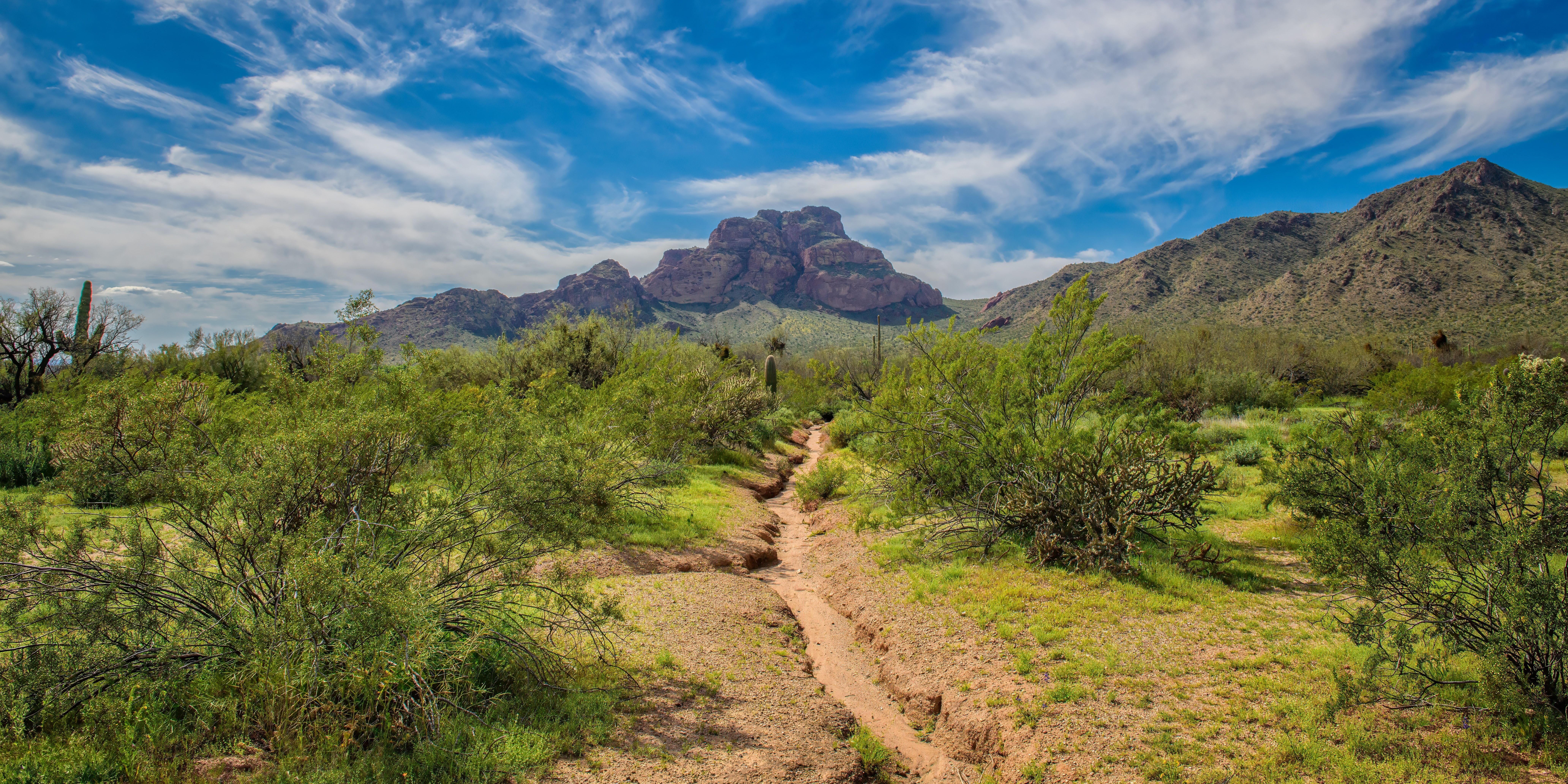 Skip Saguaro National Park For This Nearby National Forest