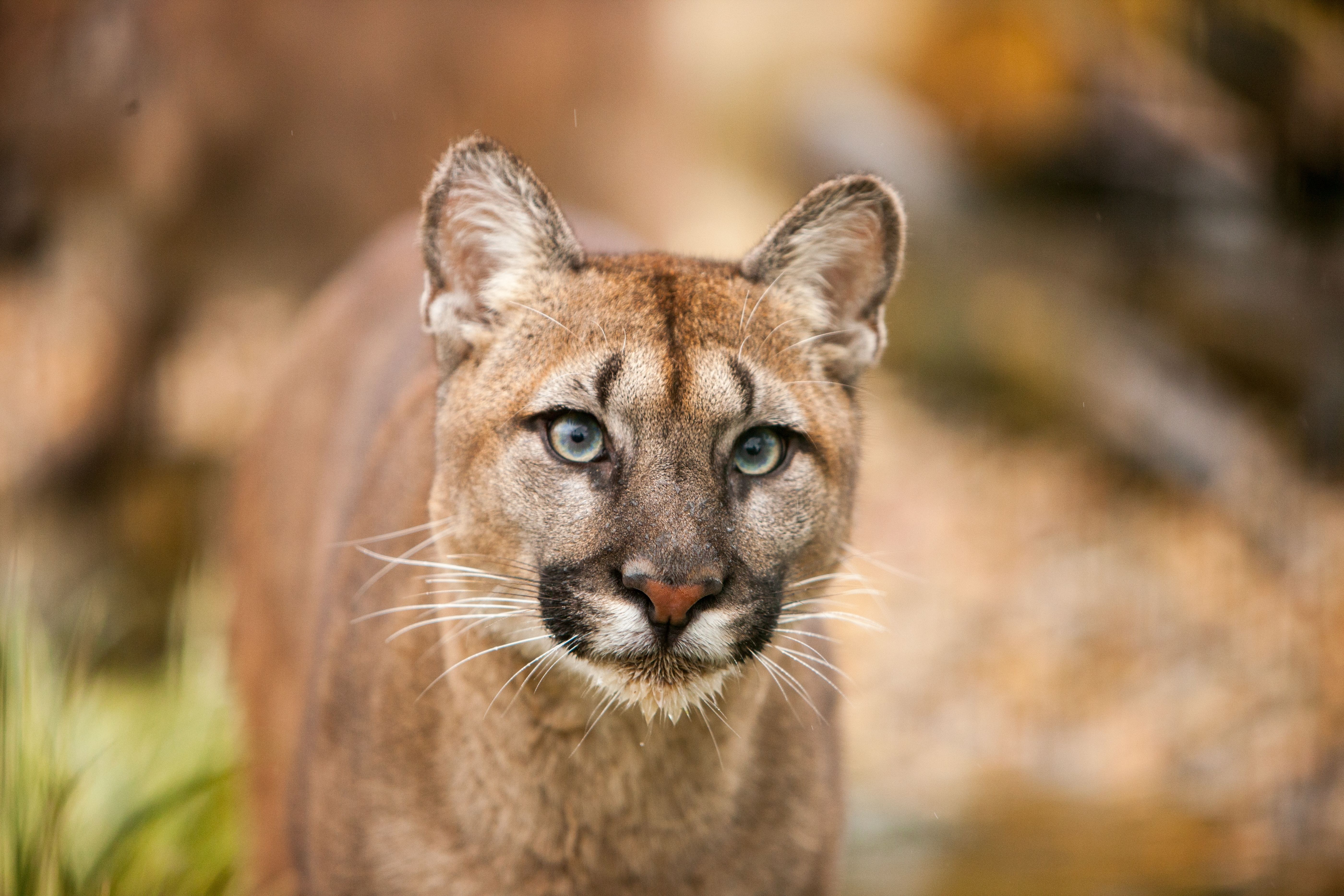 6.gif, image size:5600x3733