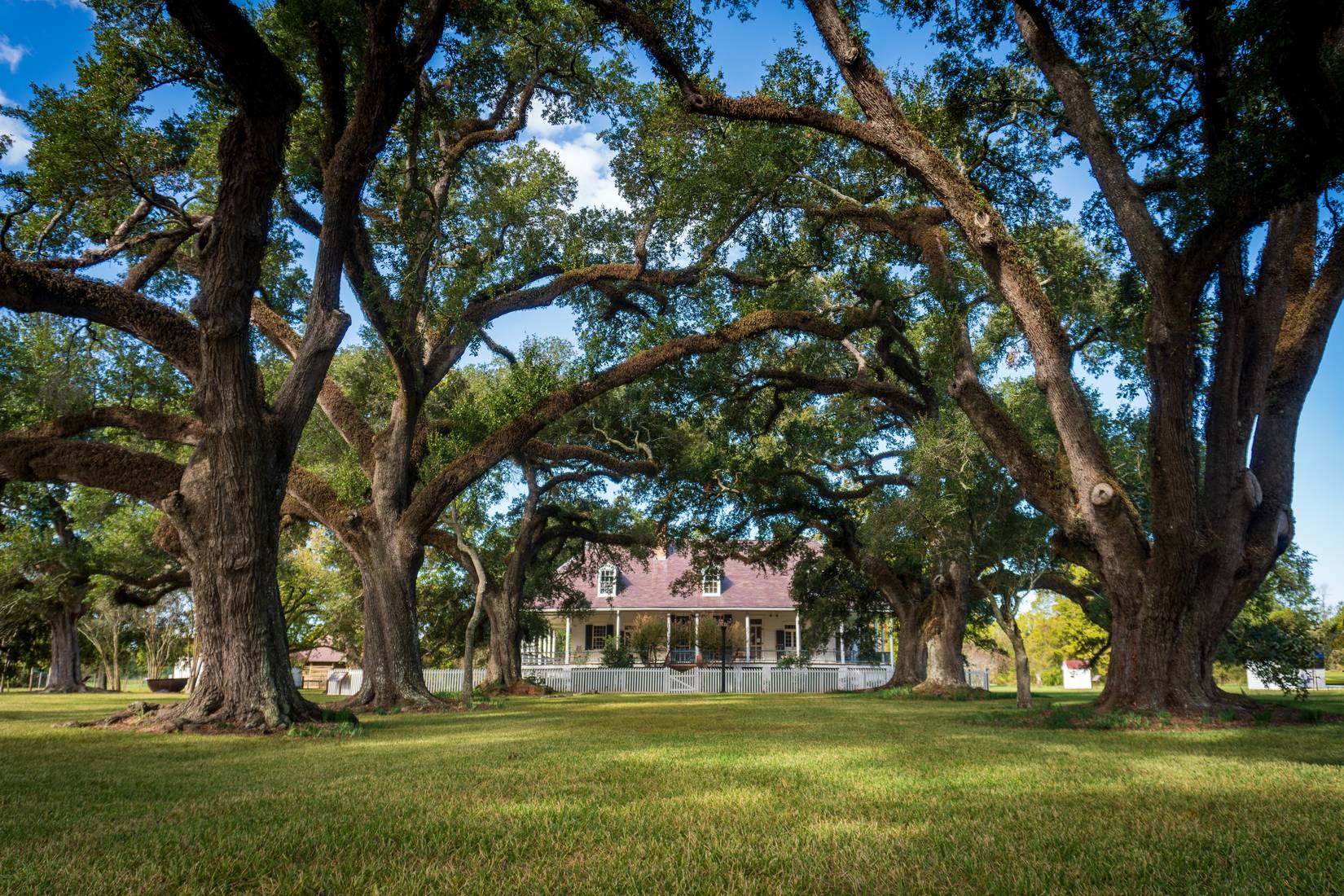 Skip Florida: 6 Underrated National Parks In Louisiana To Visit Instead
