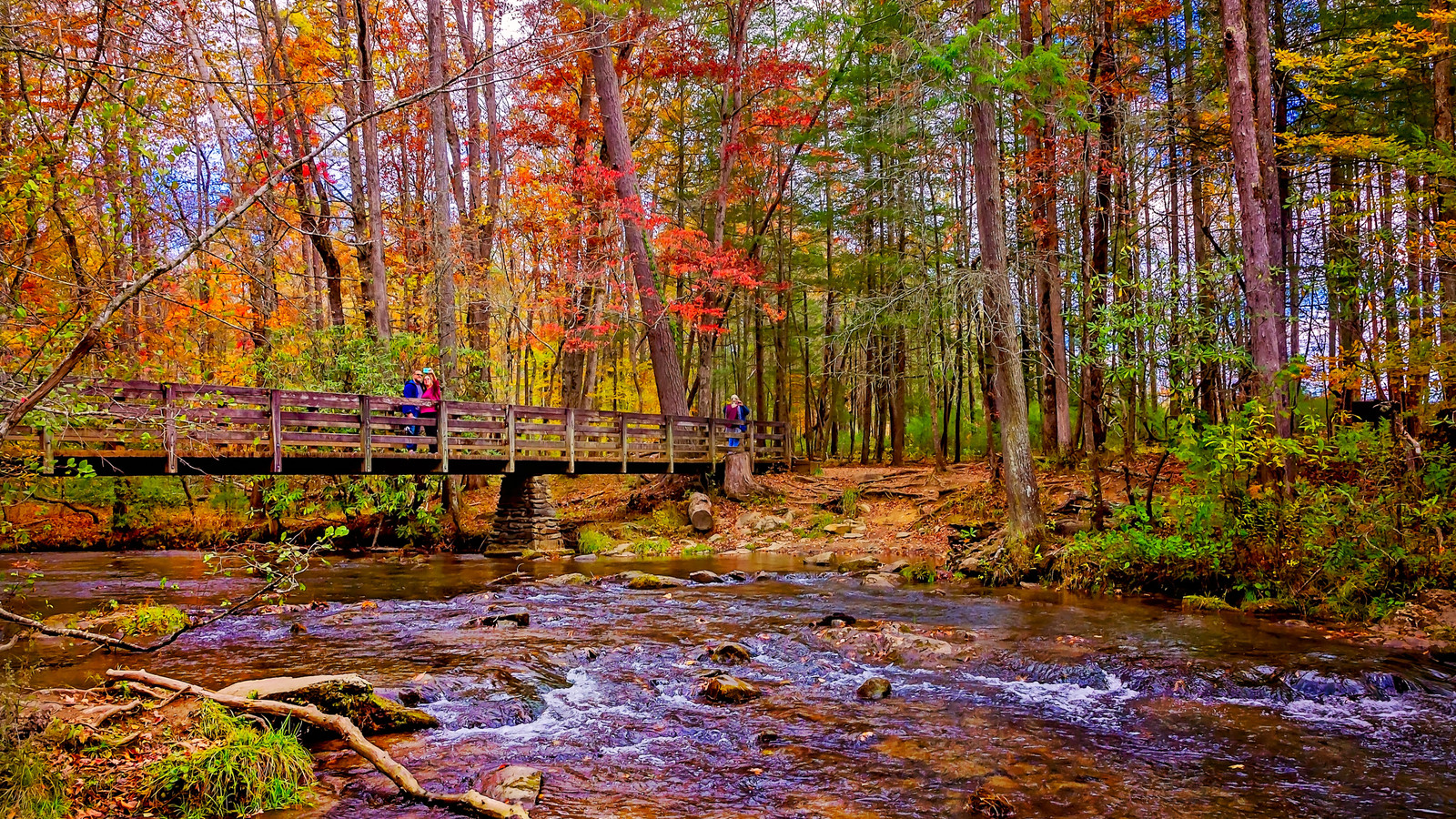 7 Most Charming River Towns In Tennessee