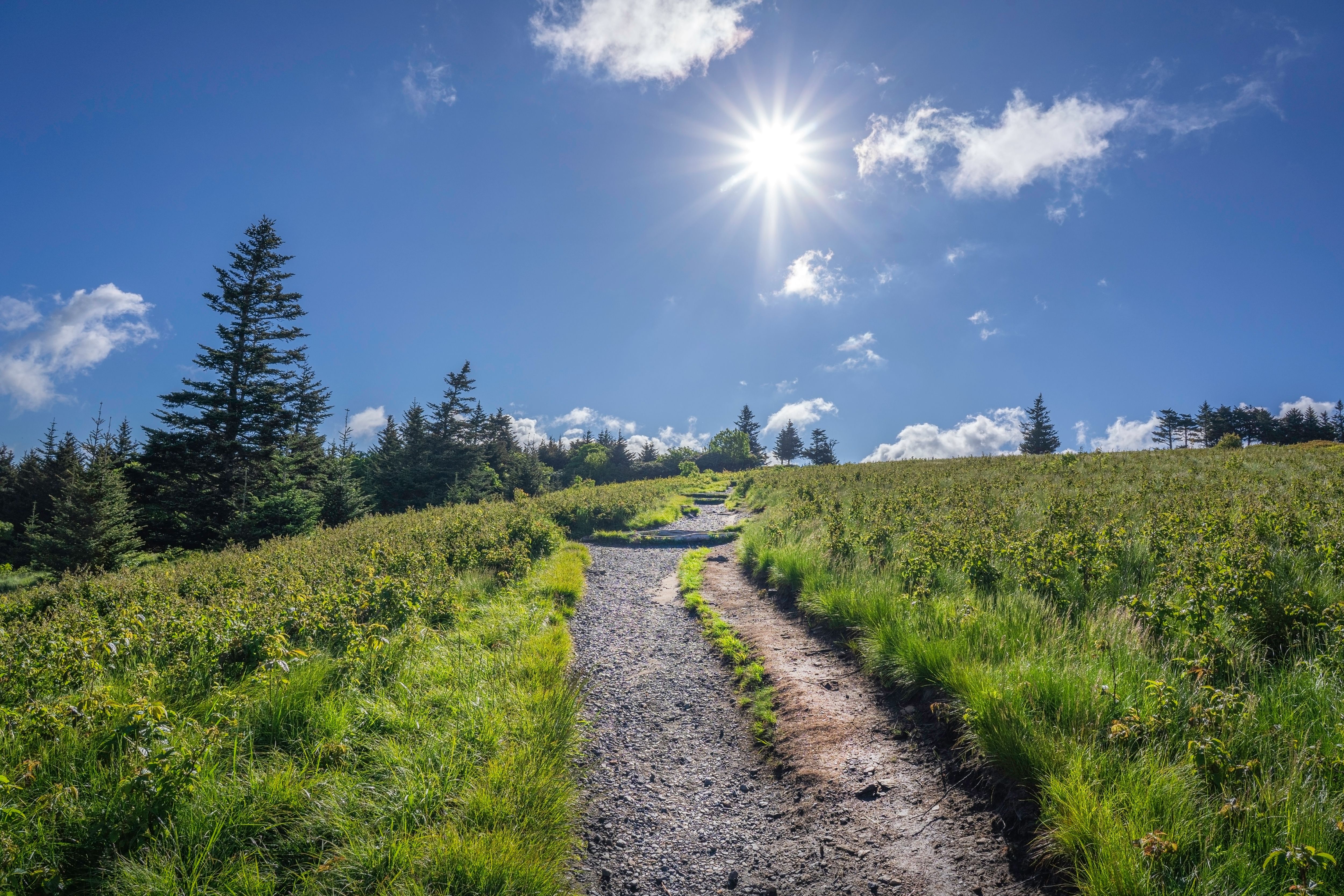 A Colorado Woman Is The Fastest To Run The 2,200-Mile Appalachian Trail ...