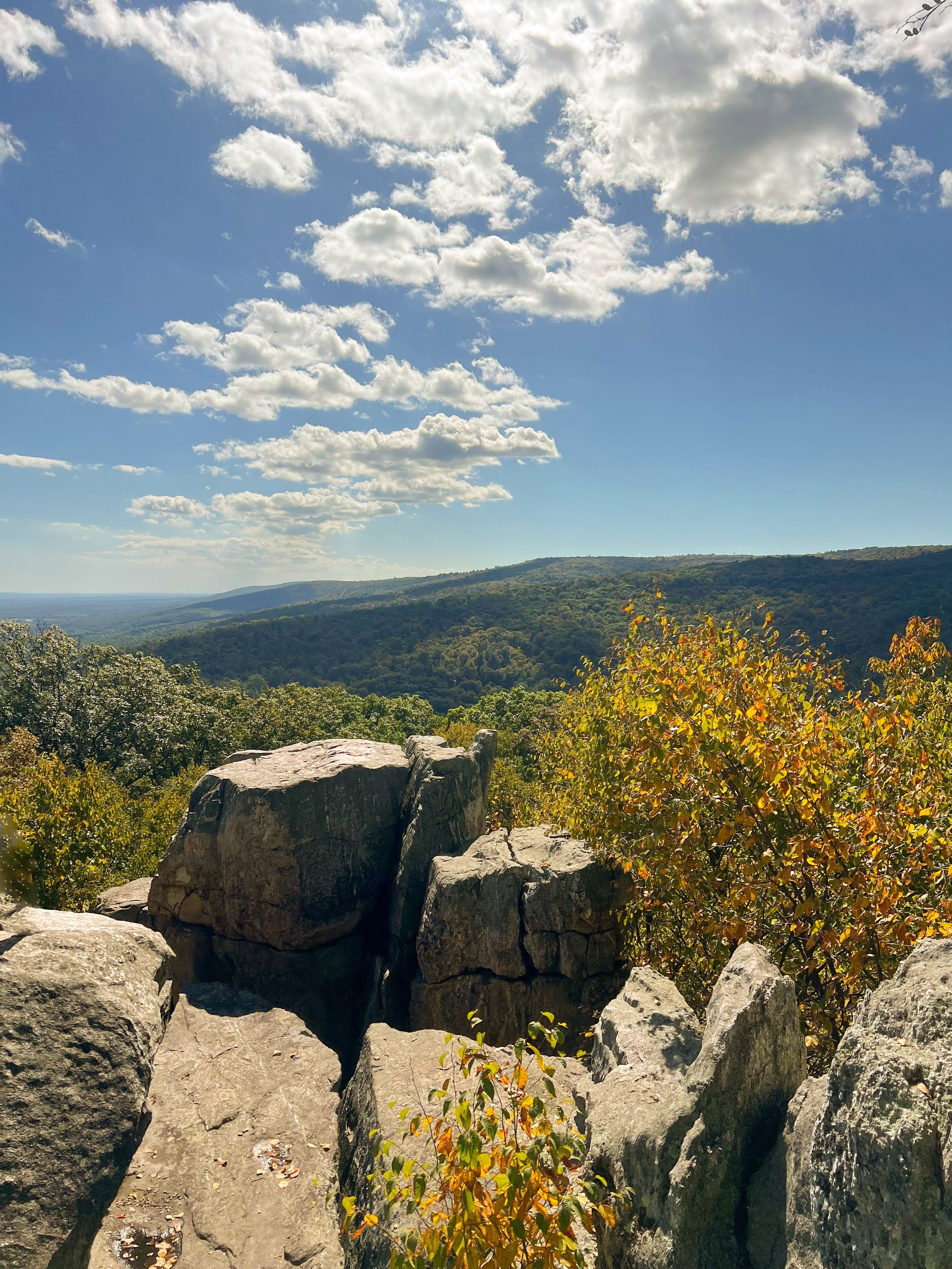 8 Best Blue Ridge Mountains Hikes: 2025 Edition