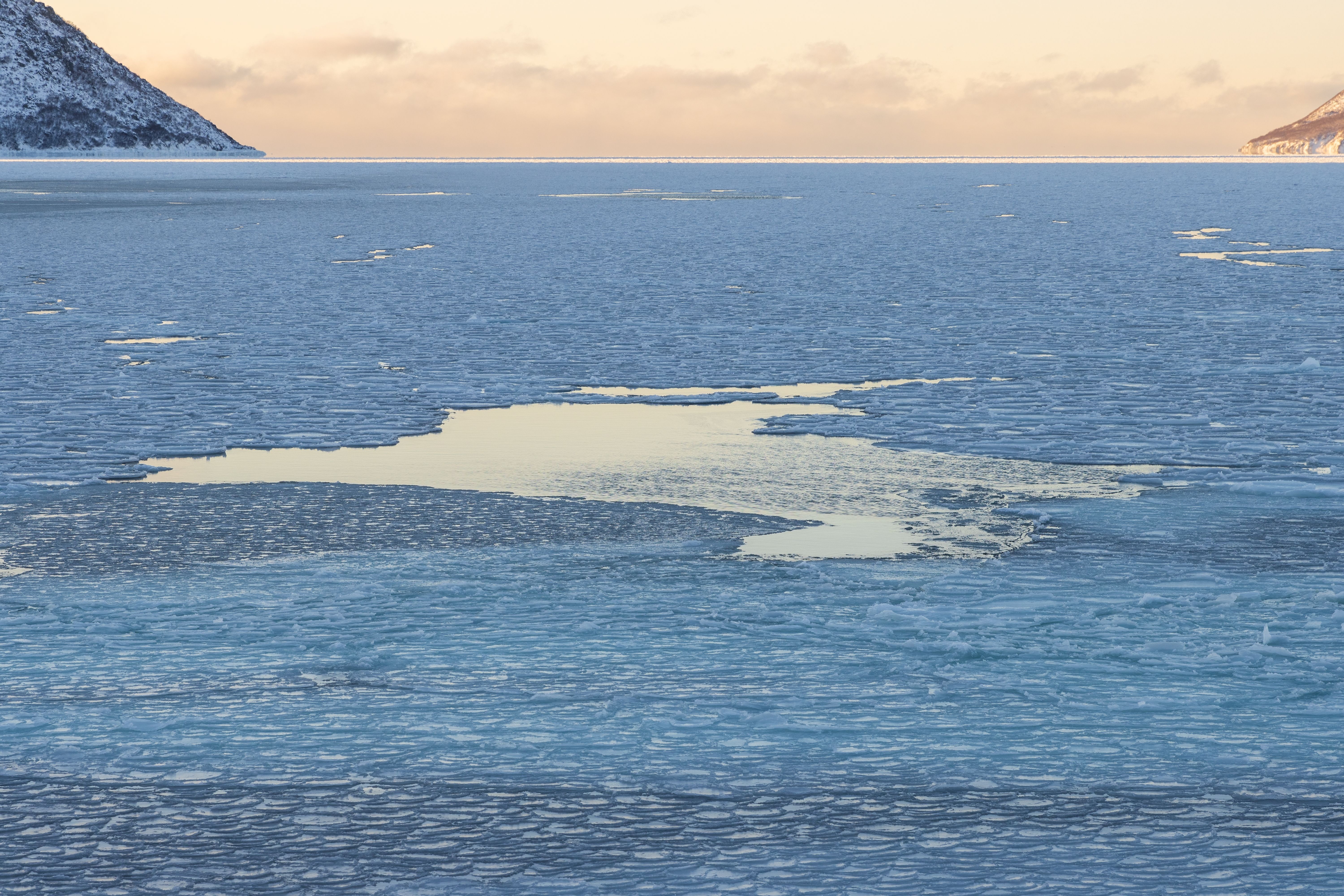 10 Most Incredible Discoveries In Antarctica