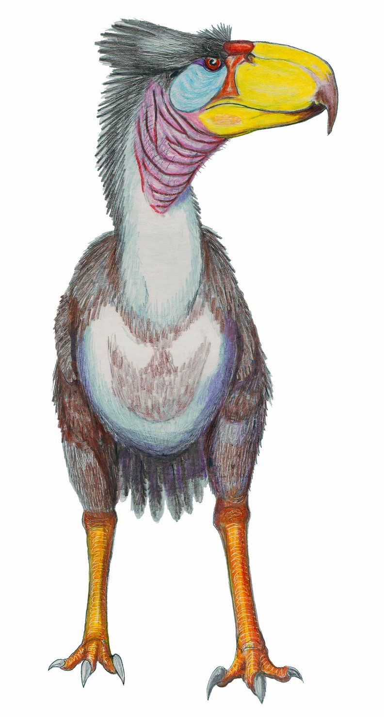 Why These 7 Ancient Predators Went Extinct