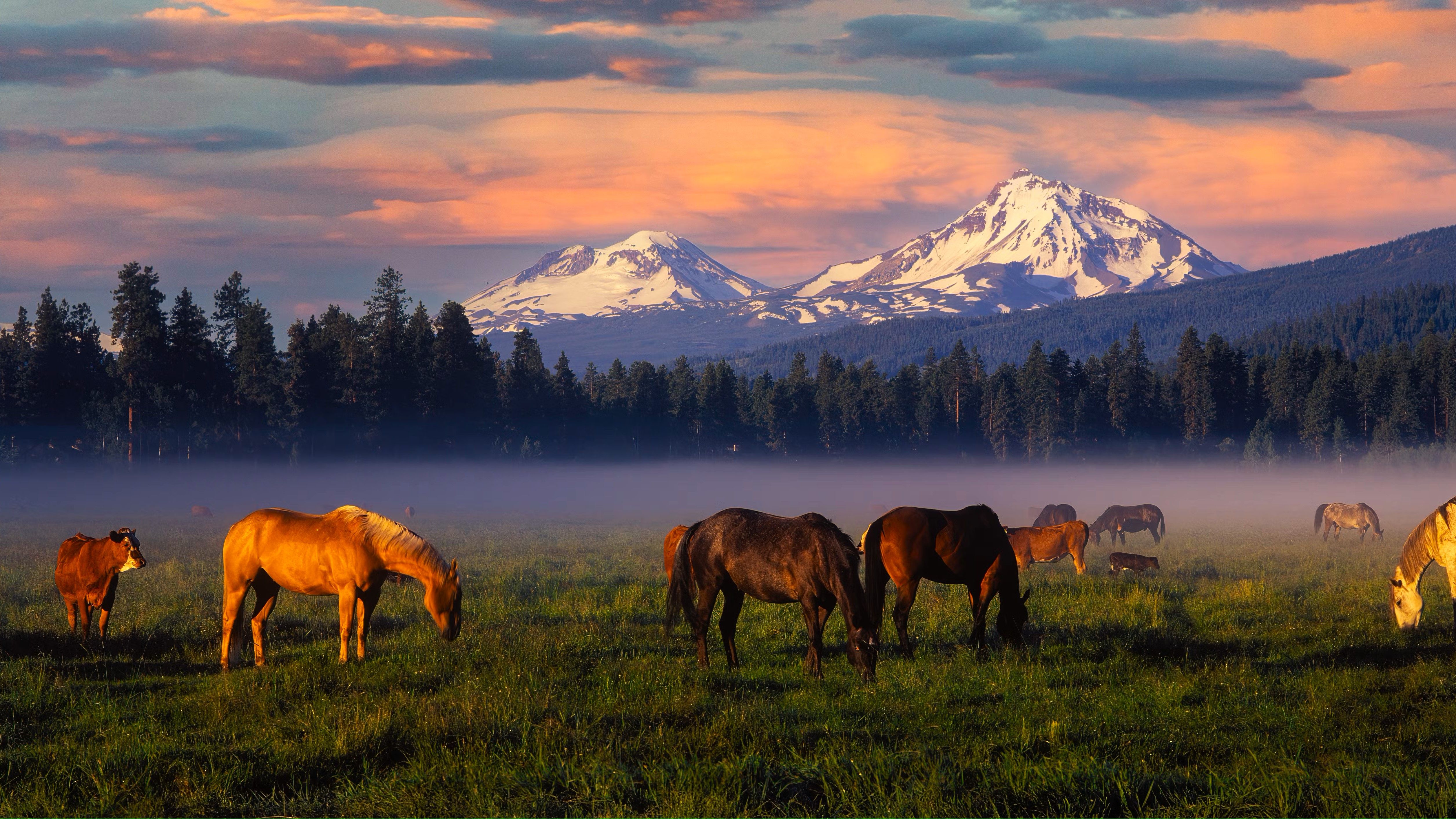 The Most Charming Small Towns In Oregon