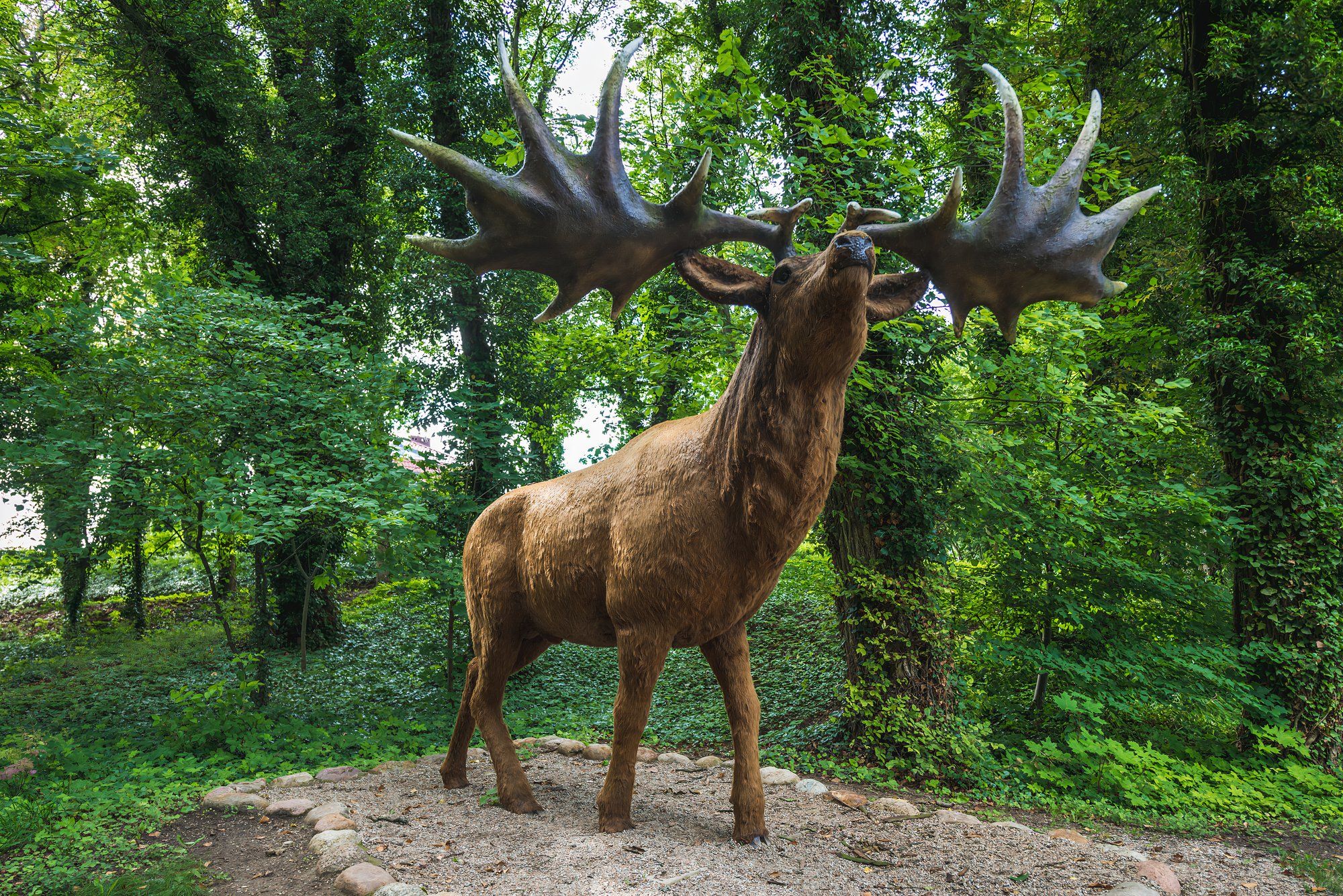 10 Incredible Extinct Creatures That Once Dominated Earth