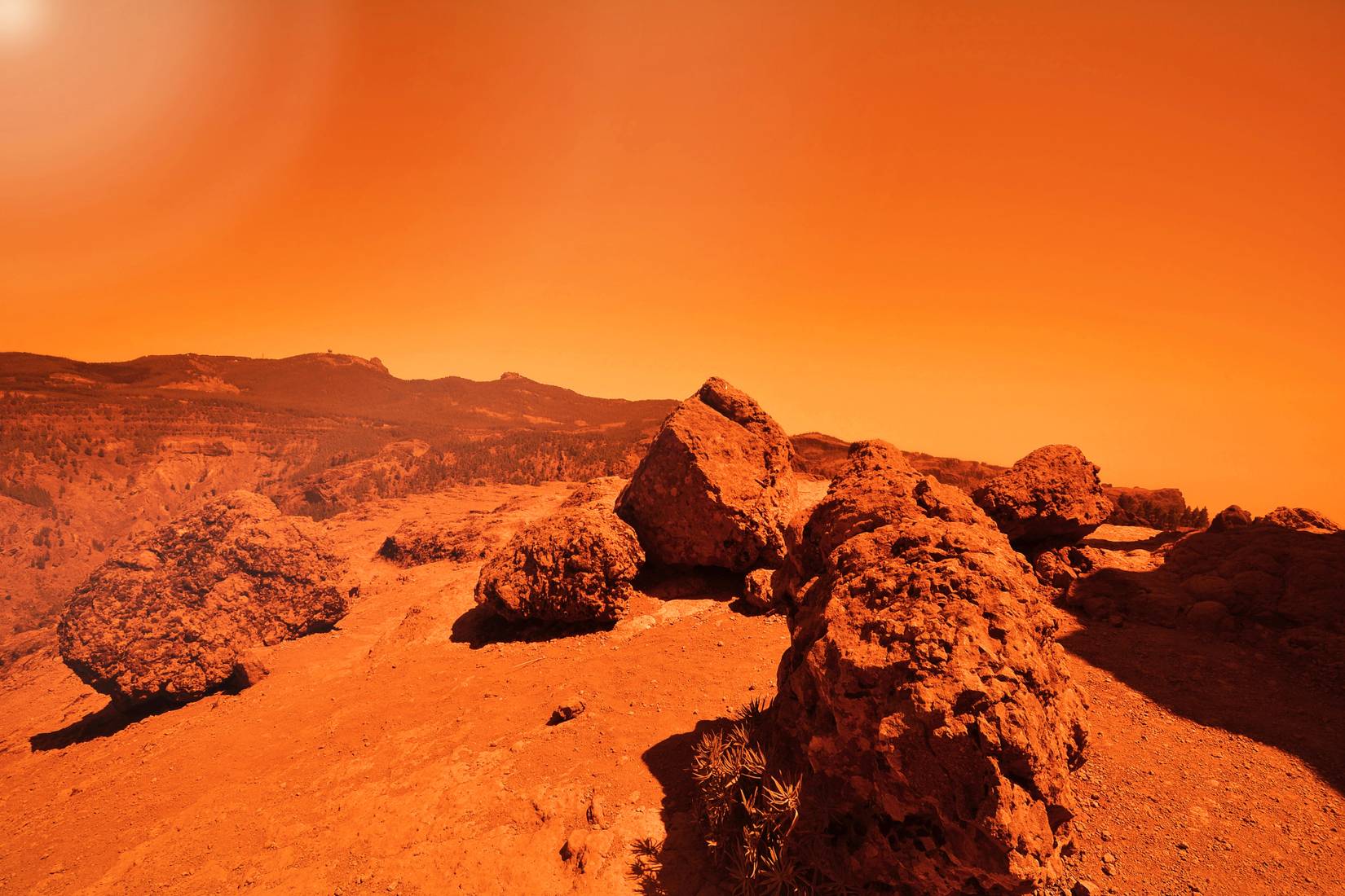 Marson Rocks Scientist Says This Rock Discovery On Mars Is Like