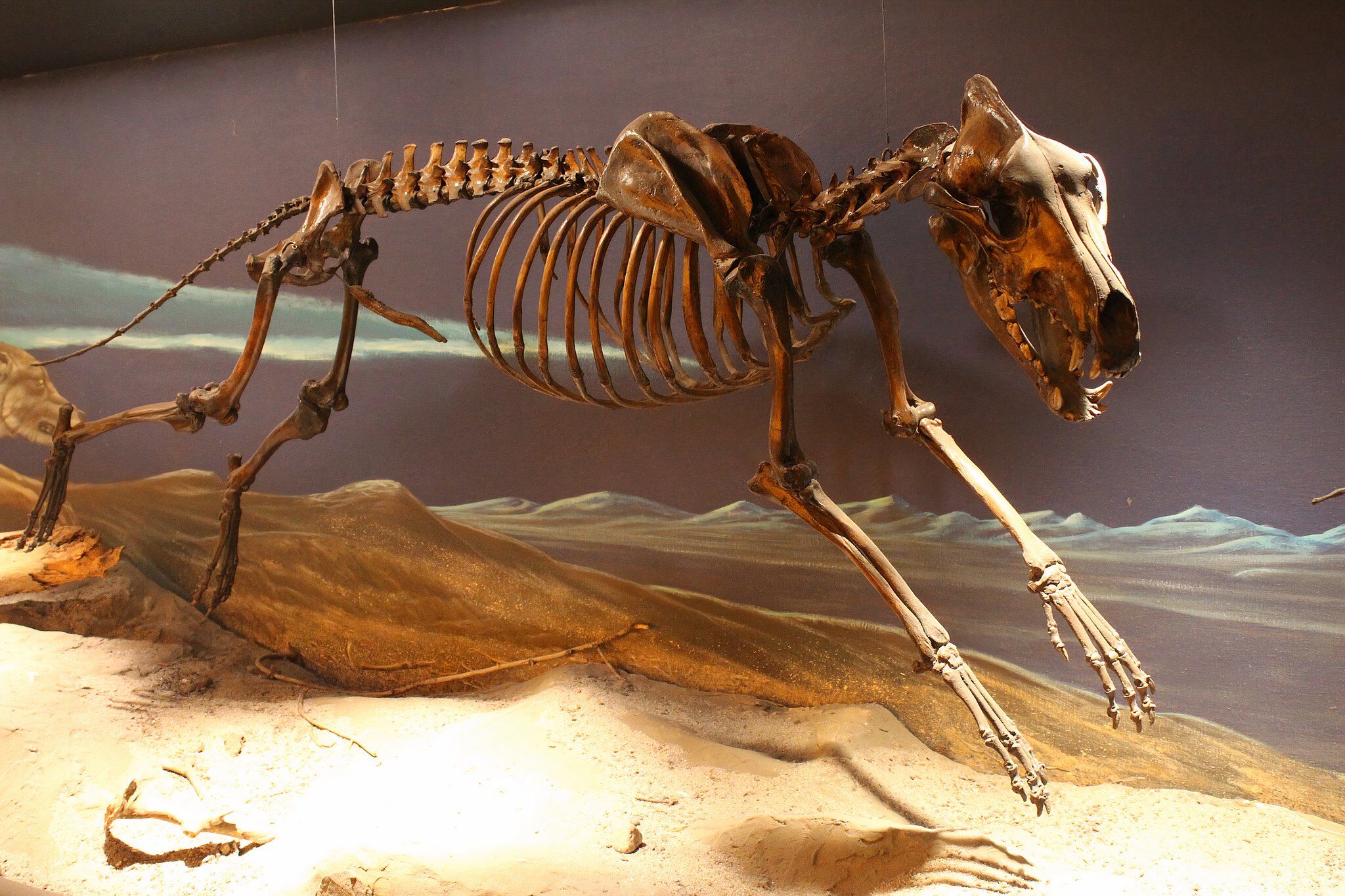Other Animals Scientists Could 