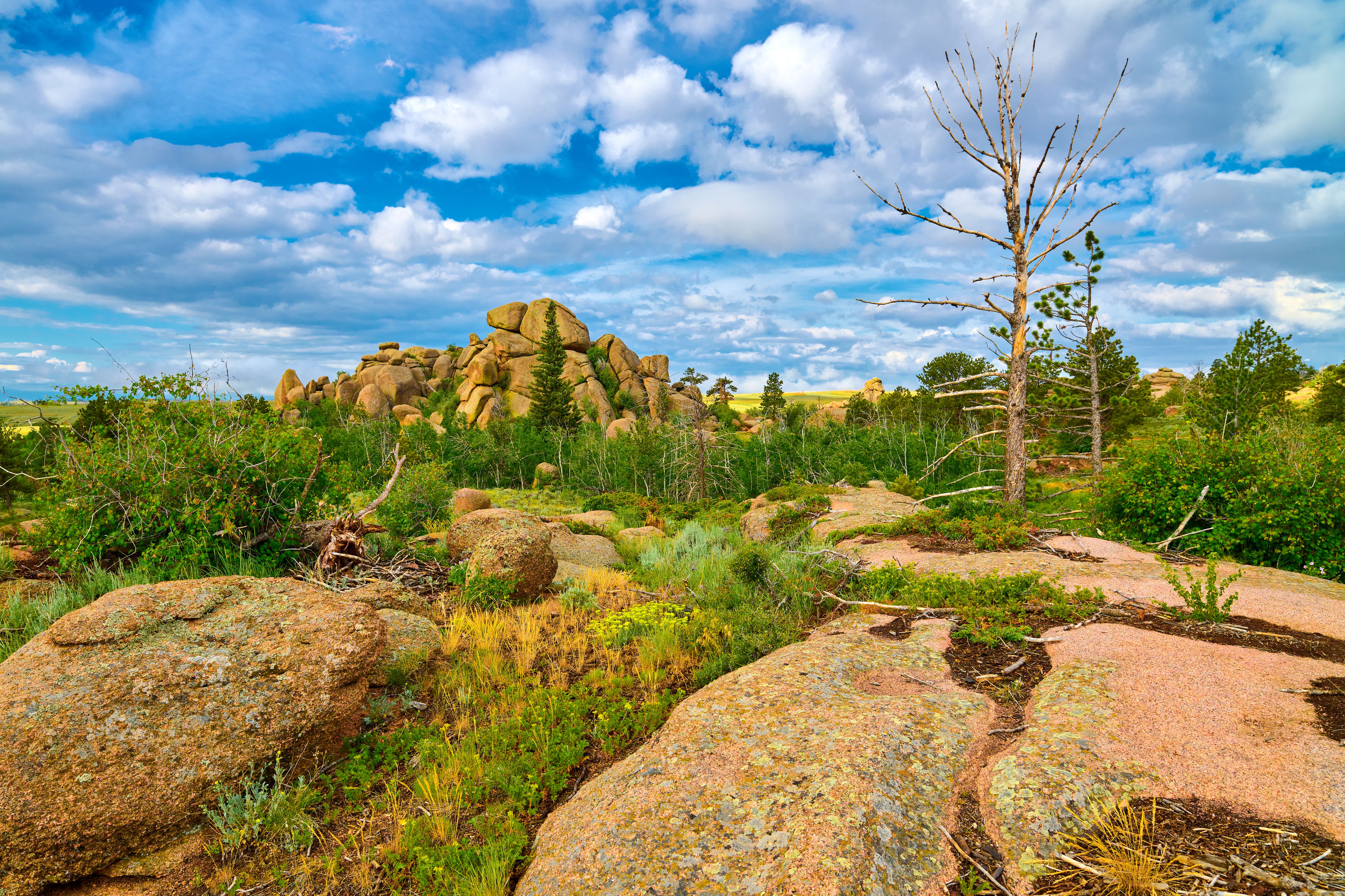 This Underrated Wyoming Park Is A Dead Ringer For The Red Rocks Of The ...