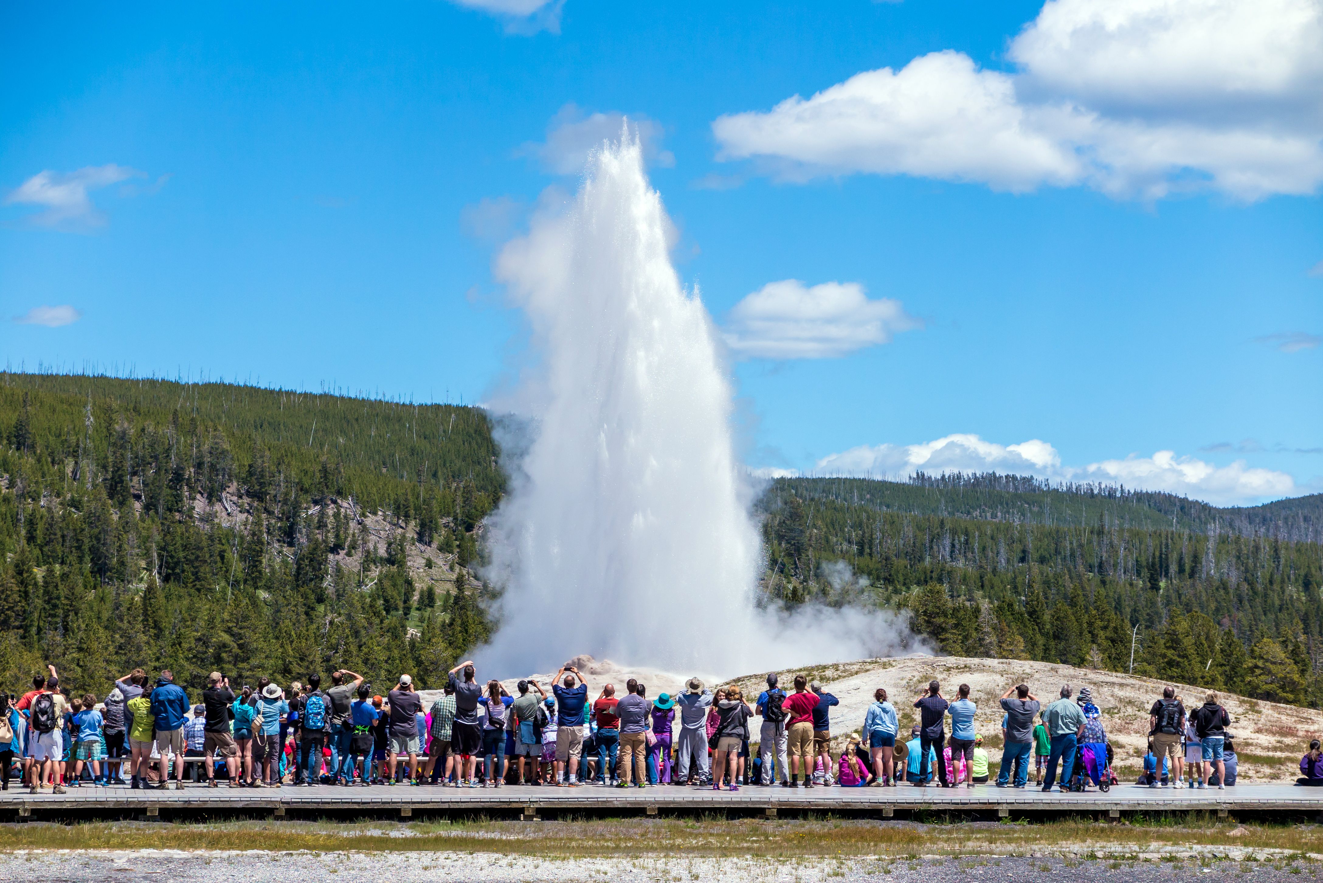 Old Faithful erupting in Yellowstone National Park