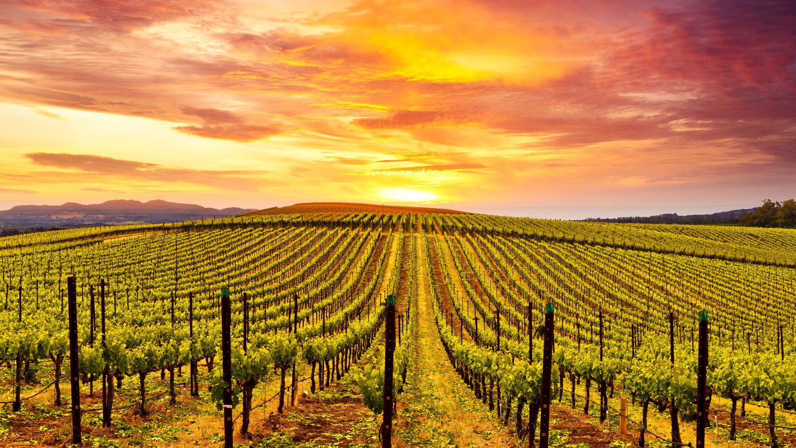 The “Mediterranean Of California” Is One Of The Best Towns To Retire In America