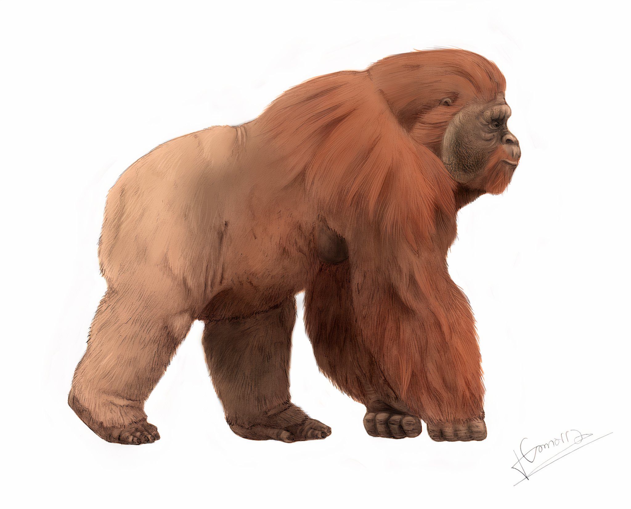 8 Extinct Creatures That Might Actually Still Exist