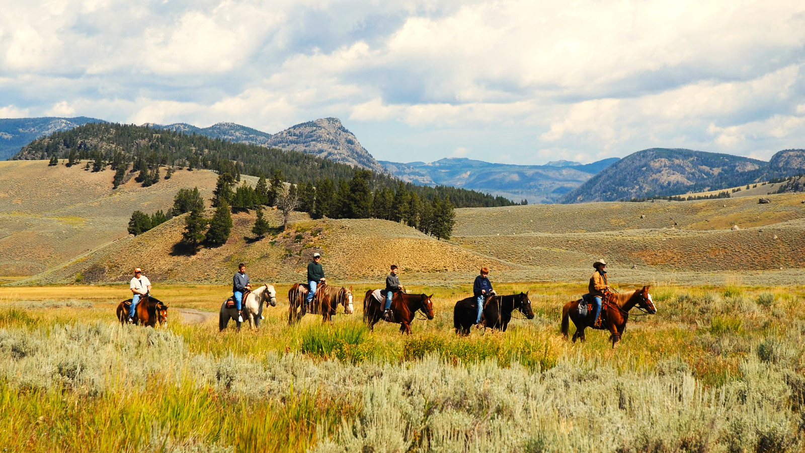 Yellowstone's Secret Entrance Leads To The National Park's Most ...