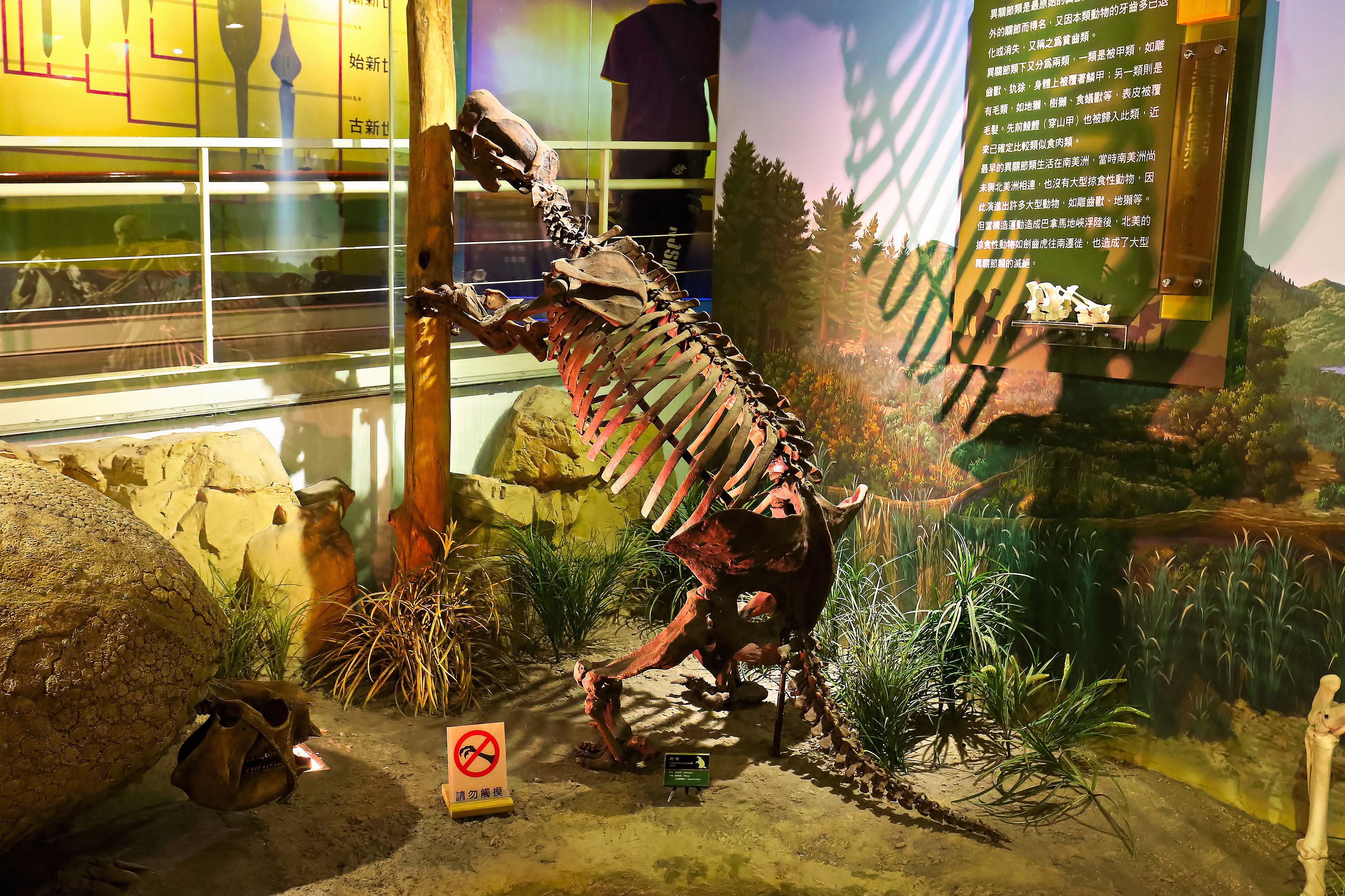 8 Extinct Creatures That Might Actually Still Exist