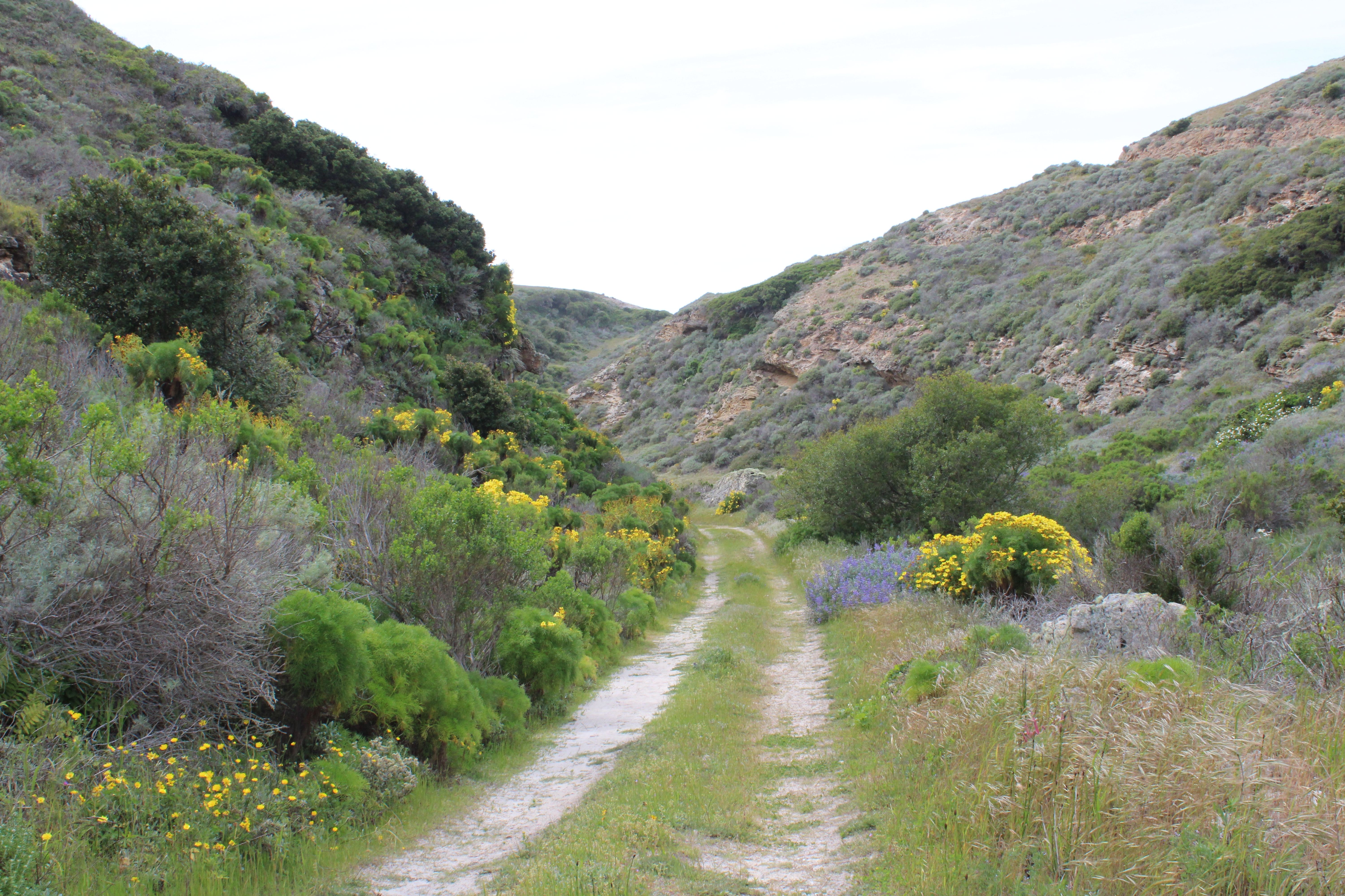 8 Most Incredible Archaeological Discoveries In California Ever Made
