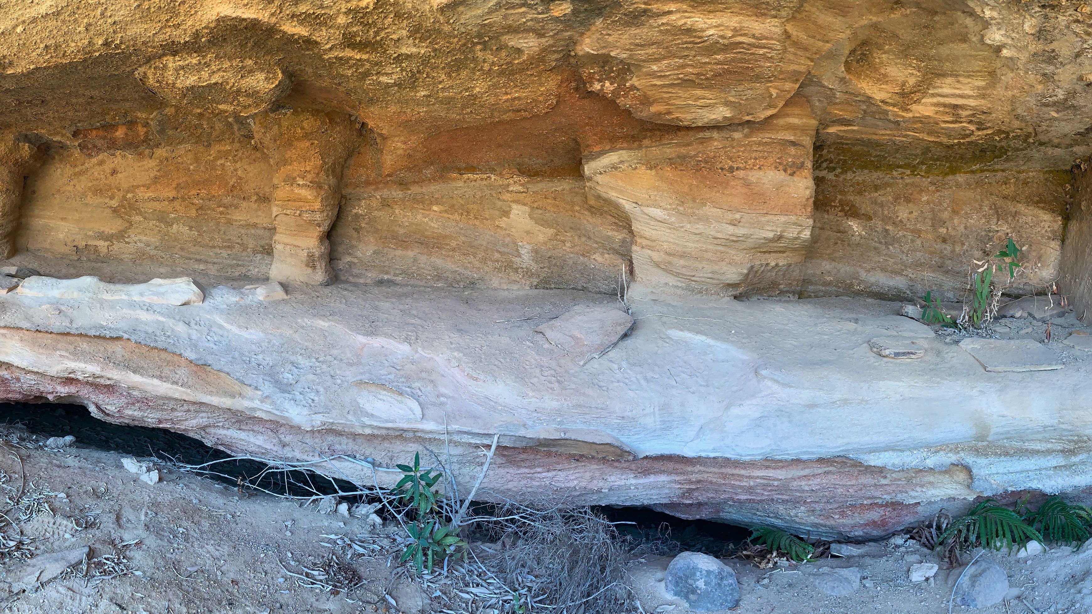 The Mystery Of Who Cut Niches Into This National Park's Rocks