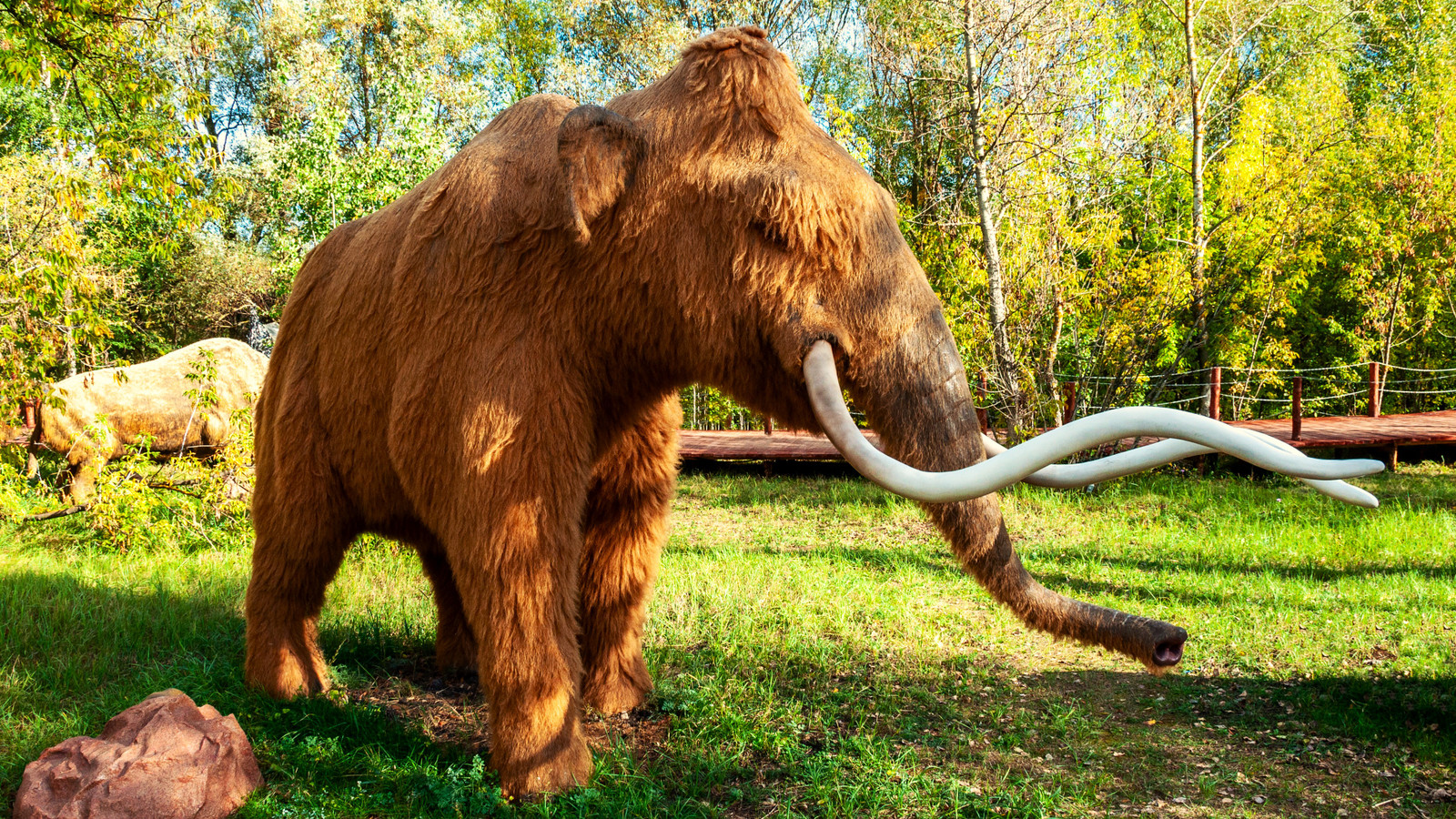 8 Extinct Creatures That Might Actually Still Exist
