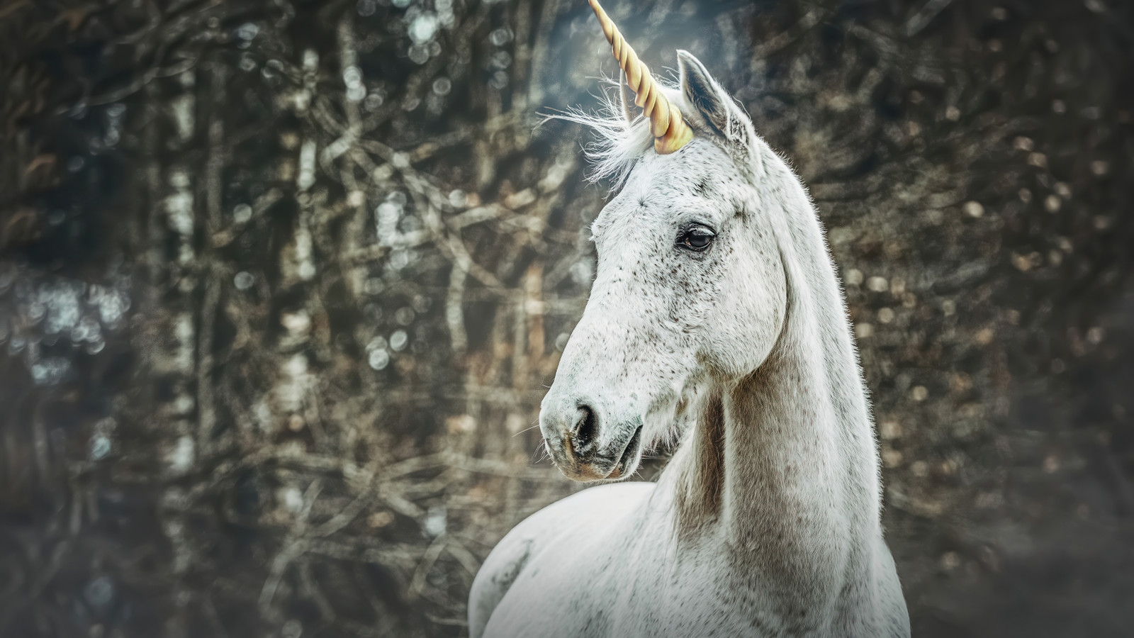 Magic Creatures Real 10 Mythical Creatures That Actually Turned Out To Be Real