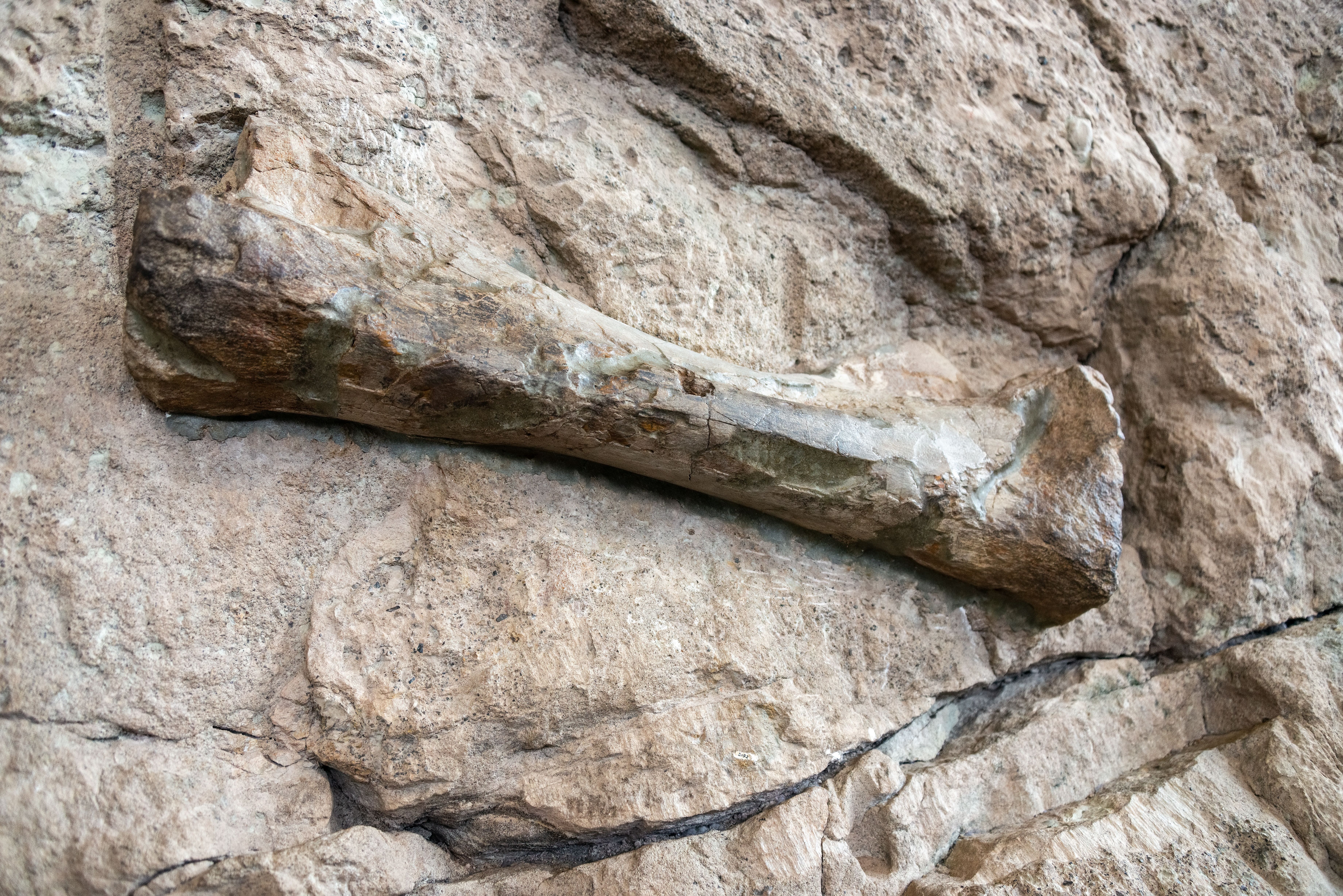 A Geologist's Most Useful Tool Is Something You'd Never Expect, And You ...