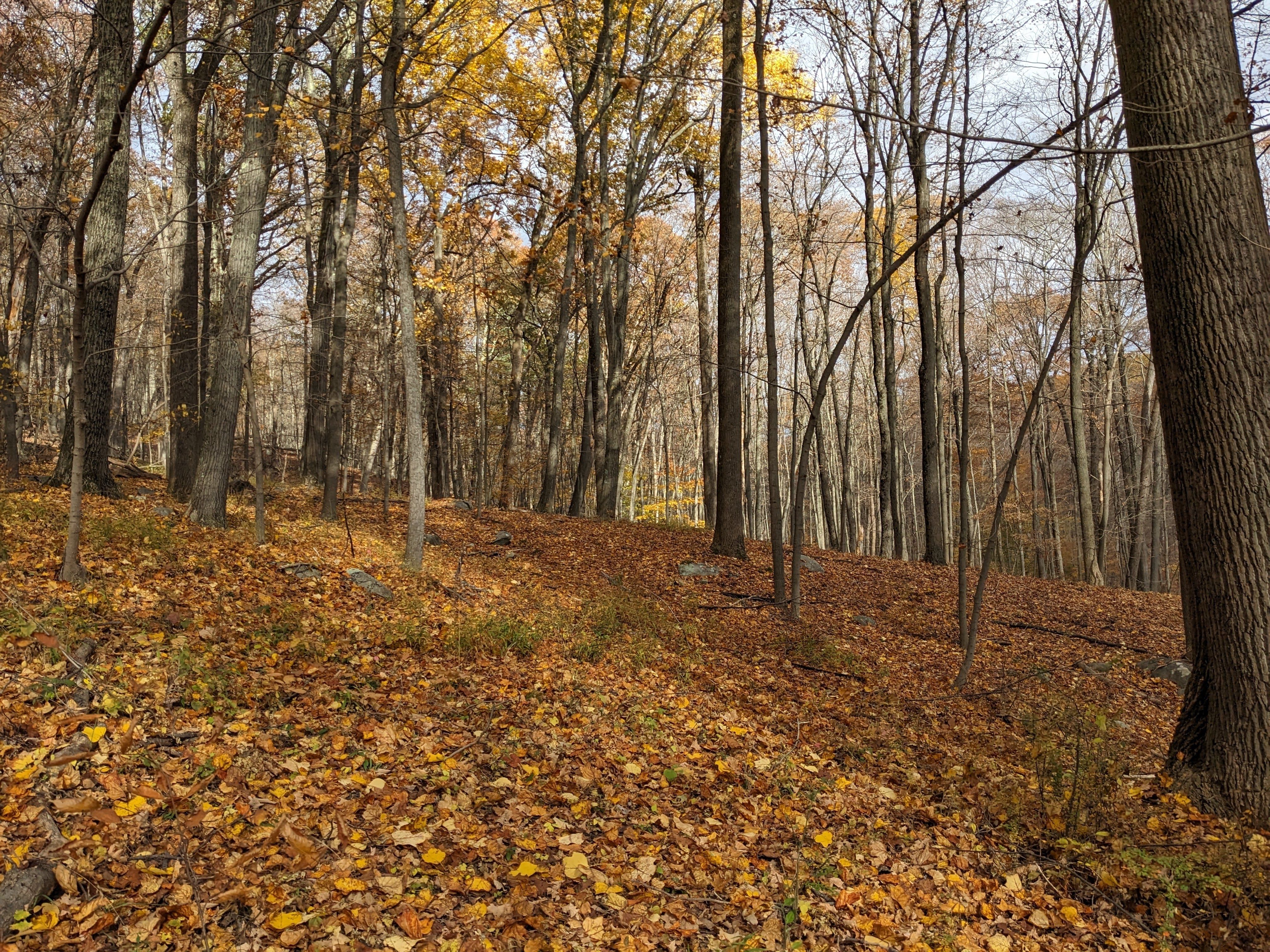 Beware: This Dangerous New York Hike Is Called 