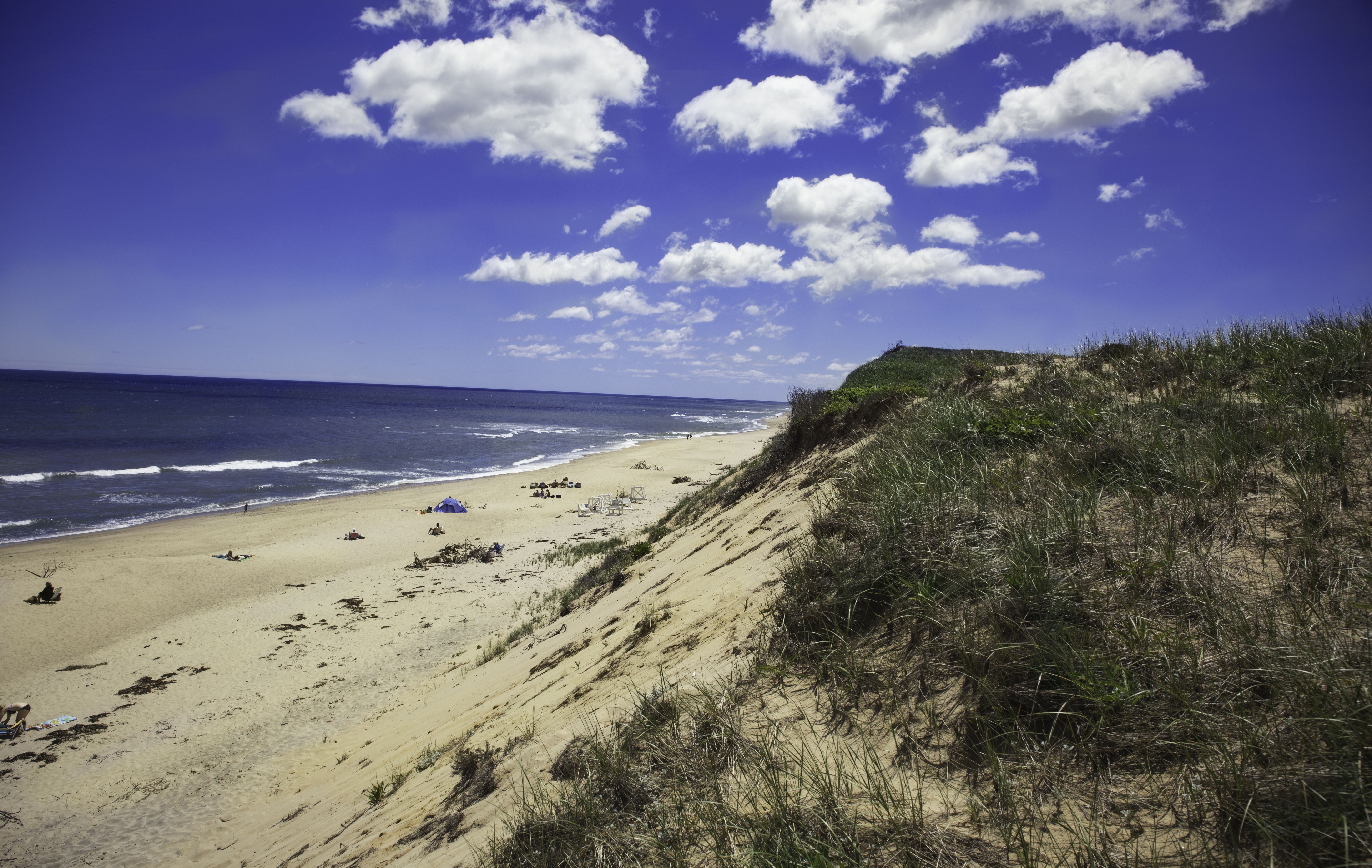 Discoveries Off Cape Cod Finally Shed Light On The Most Secretive ...