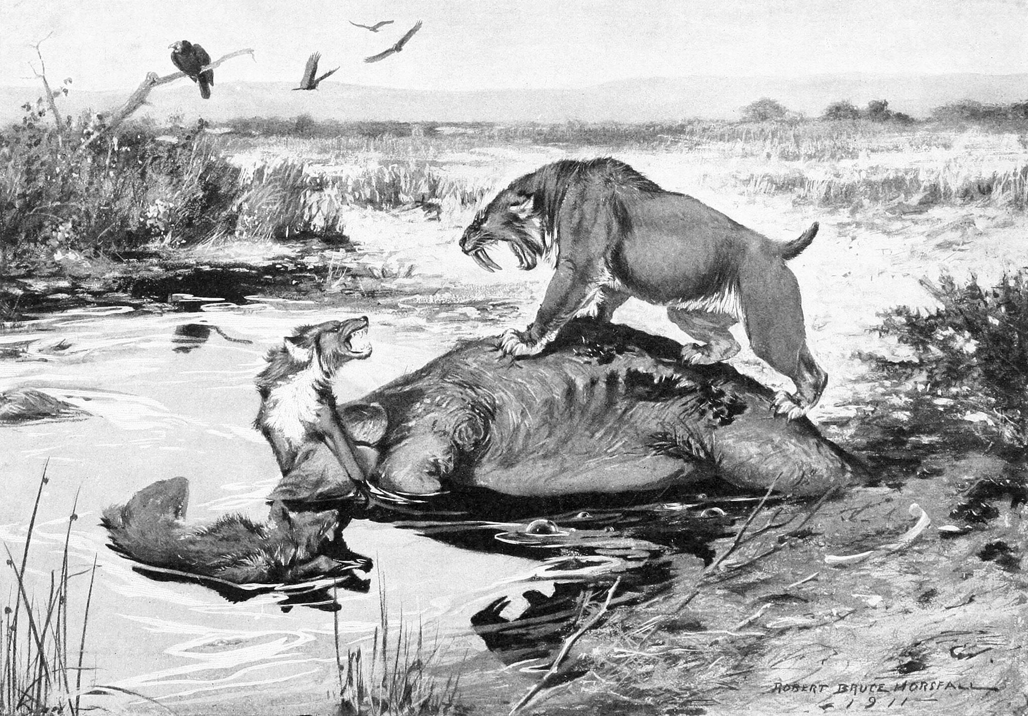 7 Terrifying Prehistoric Creatures That Once Roamed The U.S