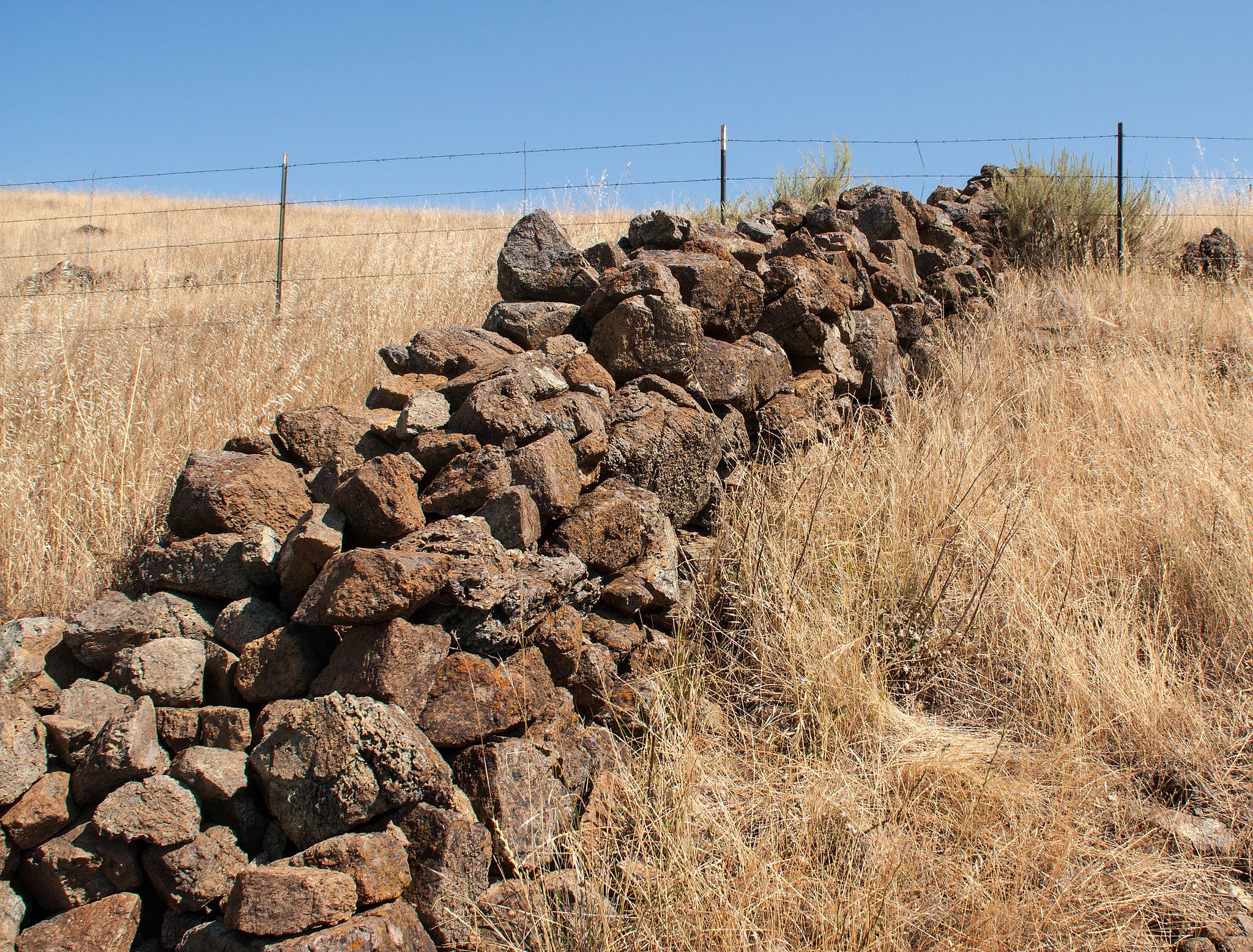 8 Most Incredible Archaeological Discoveries In California Ever Made