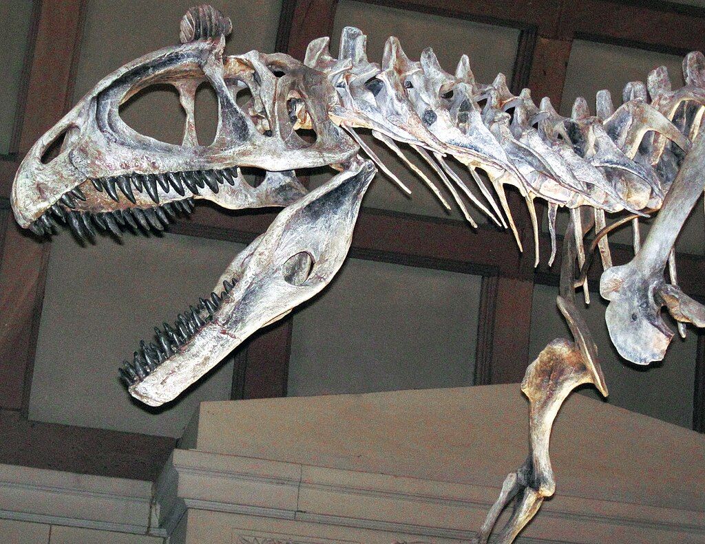 10 Myths About Dinosaurs You Need To Stop Believing