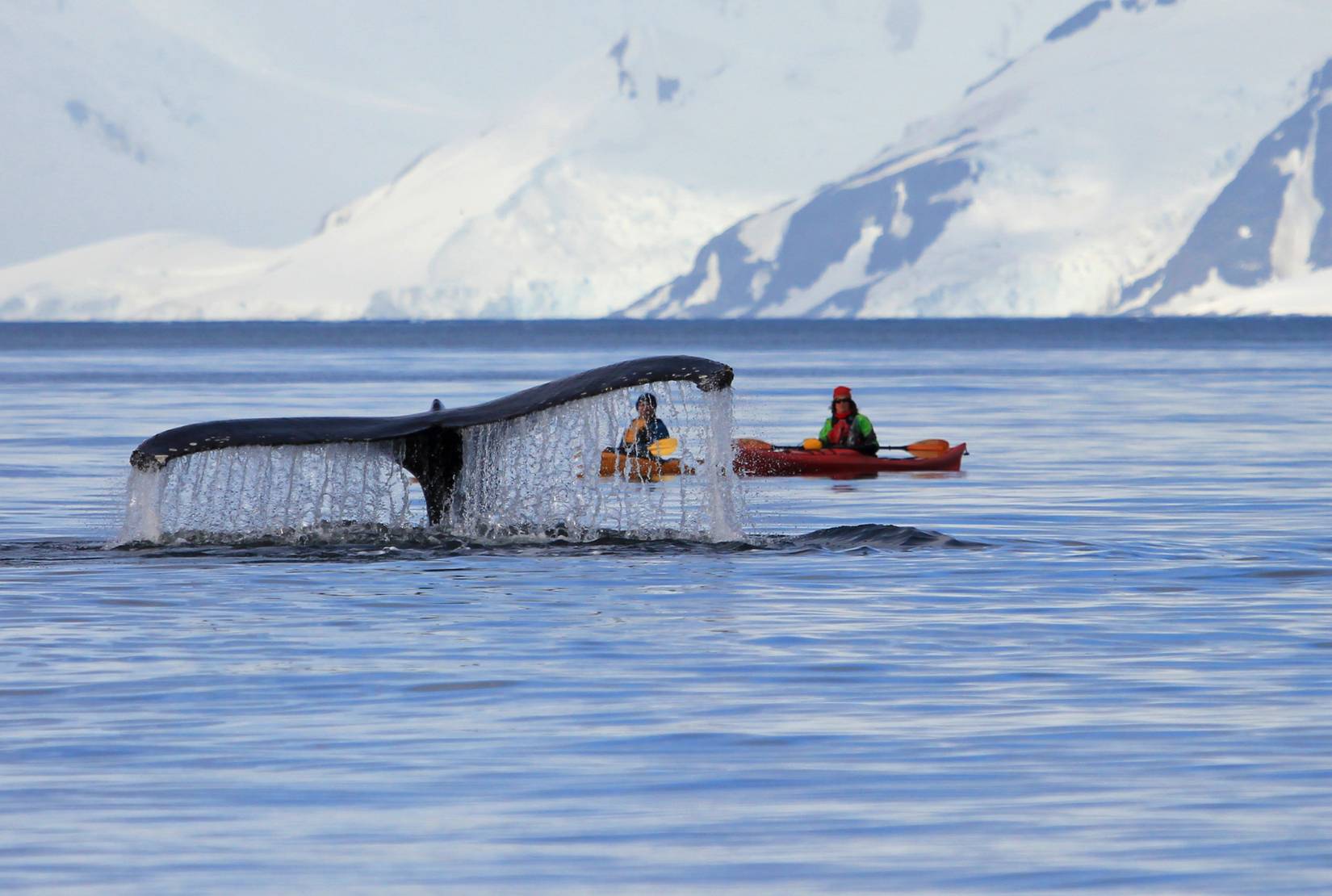 Should You Book An Alaska Cruise Or A Cruisetour? Here's The Breakdown