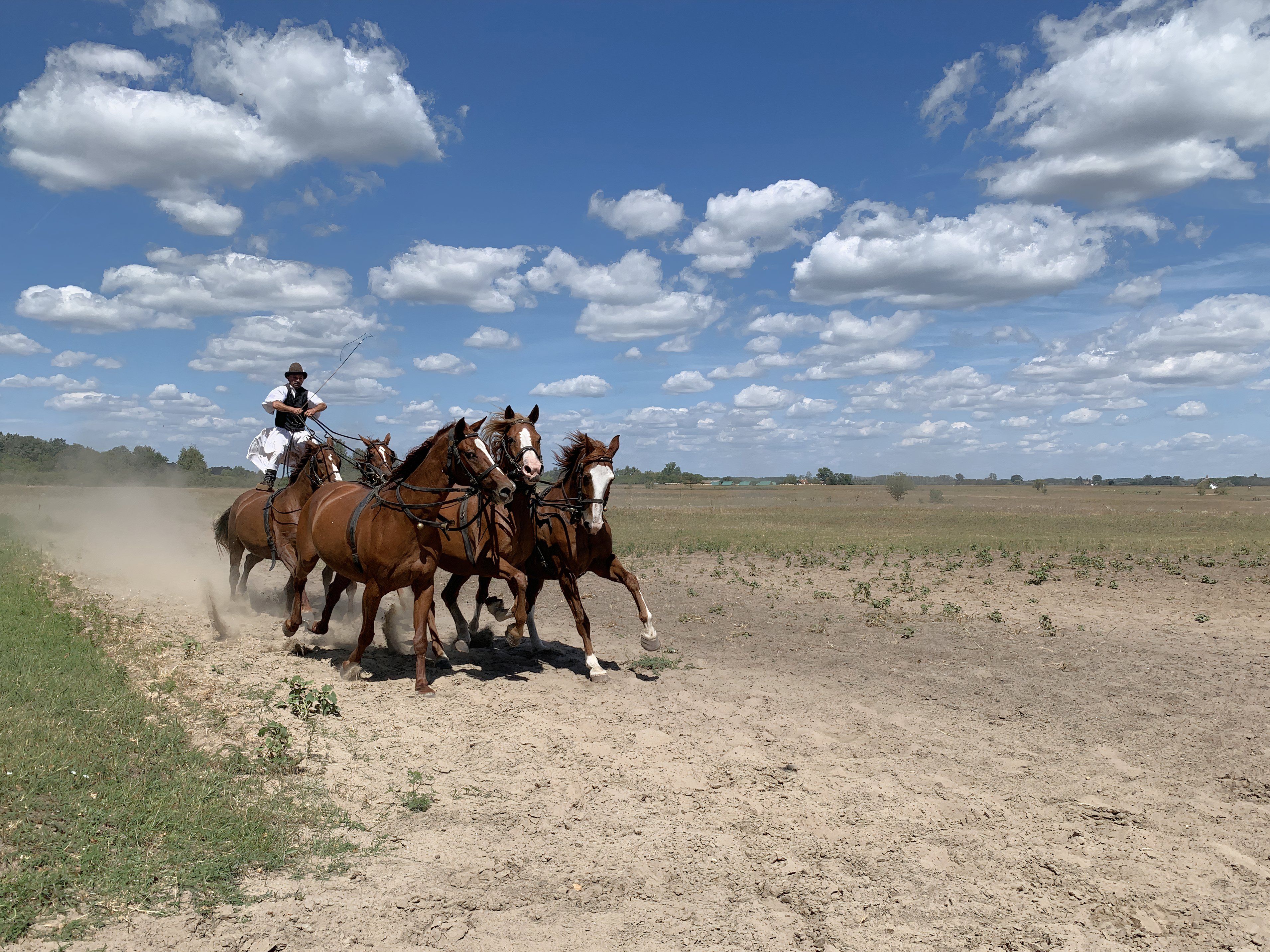 These 7 Surprising Countries Are Home To Deserts