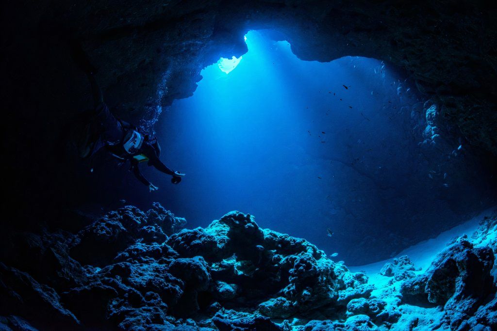 These Underwater Structures Found In The Deep Pacific 