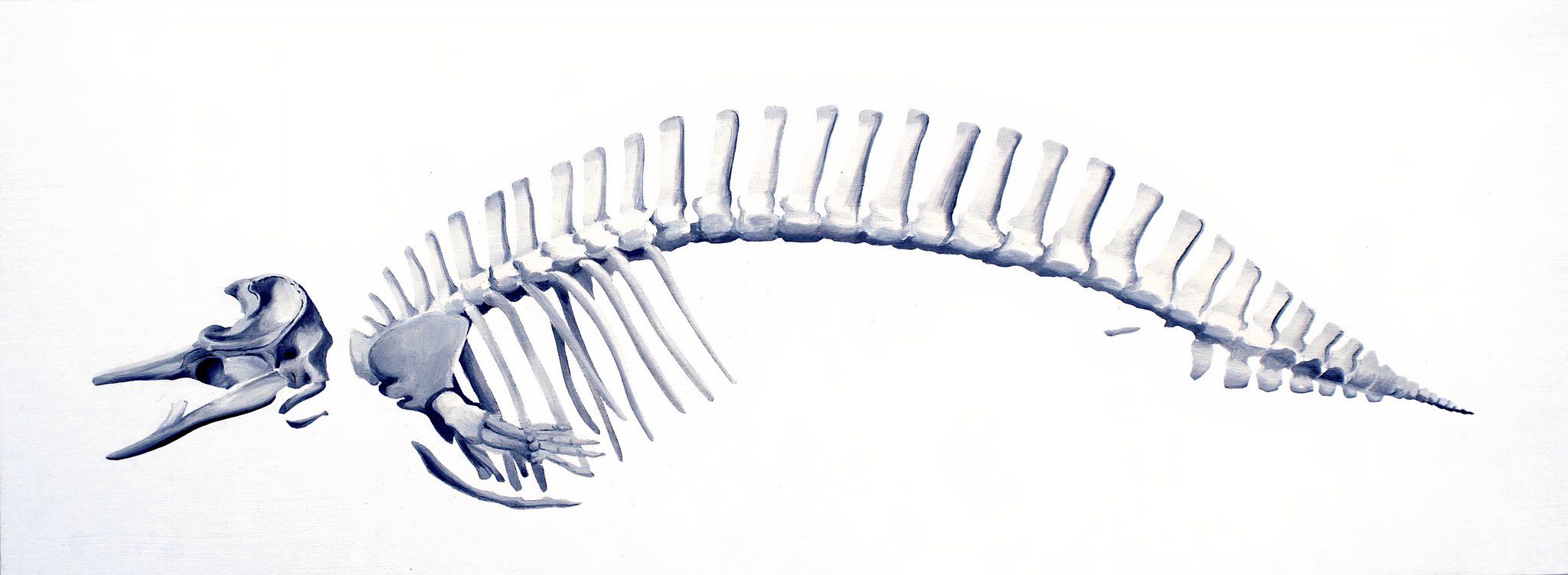 Scientists Clustered Around One Of The World's Rarest Whales: Here's ...