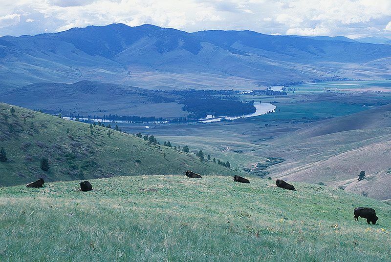 This Underrated Montana Park Gives 