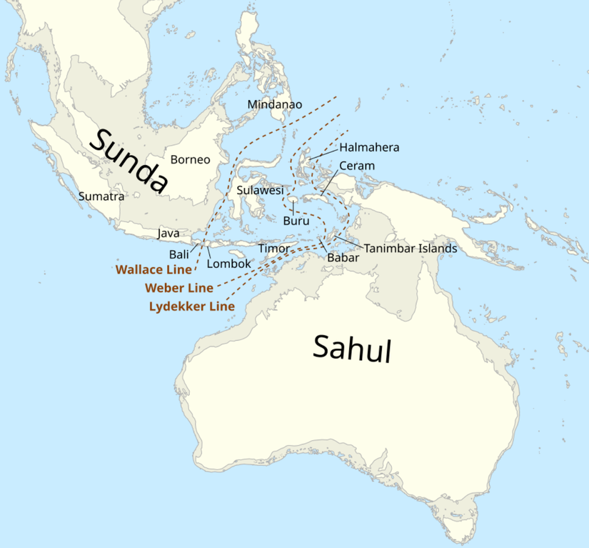 Sundaland and Sahul during the last ice age