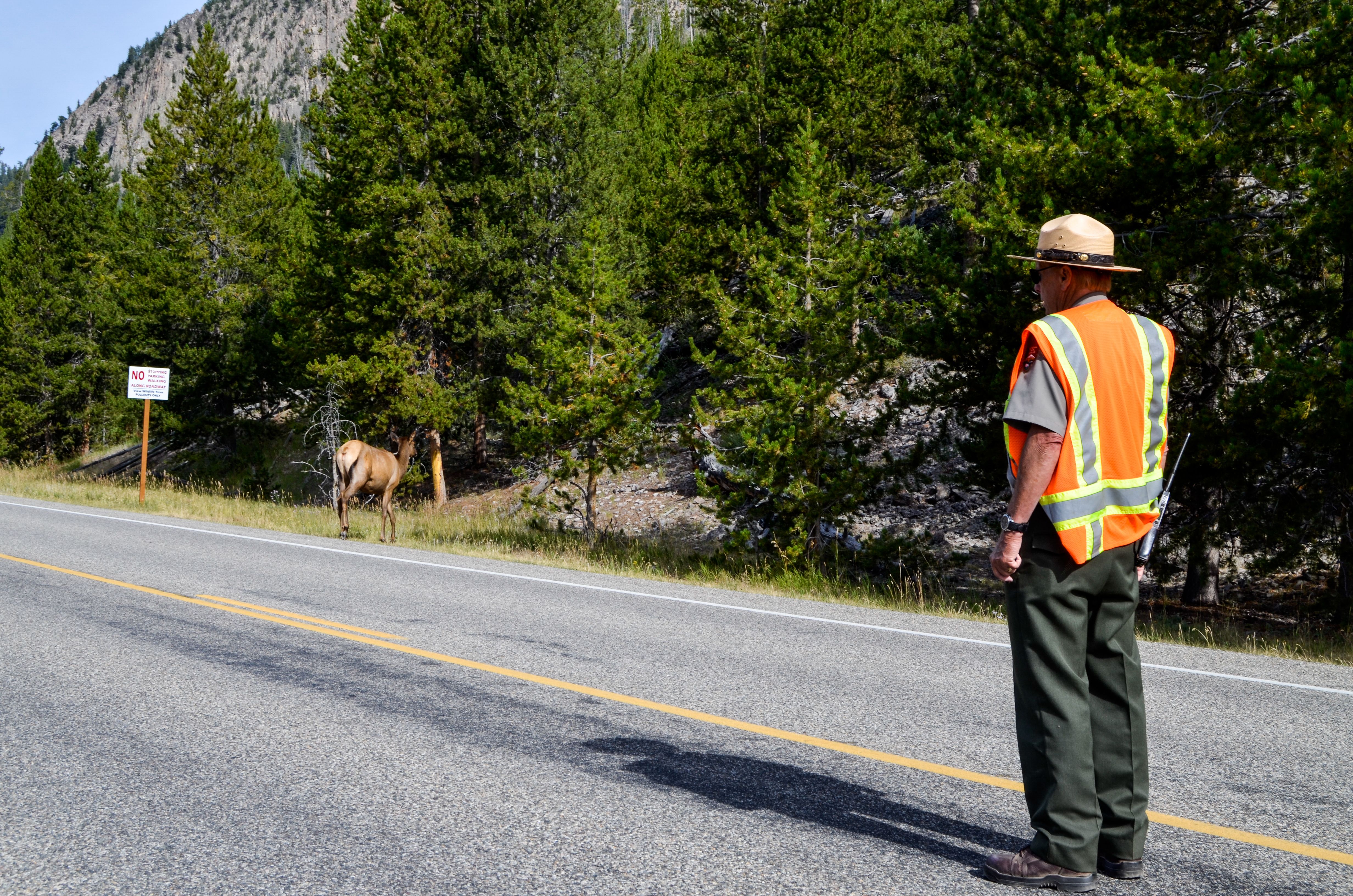Before It Became Yellowstone National Park, The Land Almost Had A ...