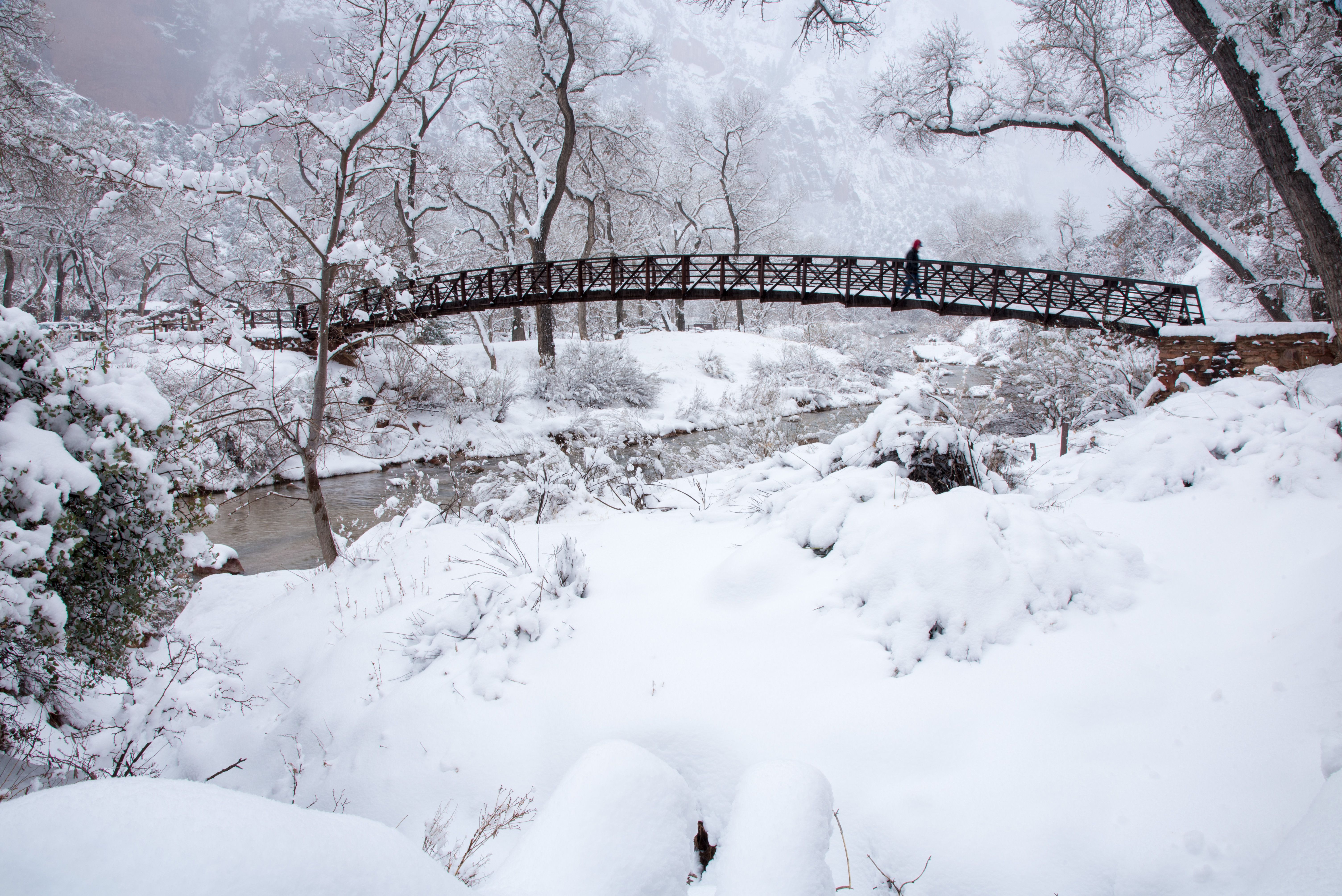 These Are The 7 Best National Parks To Visit In February