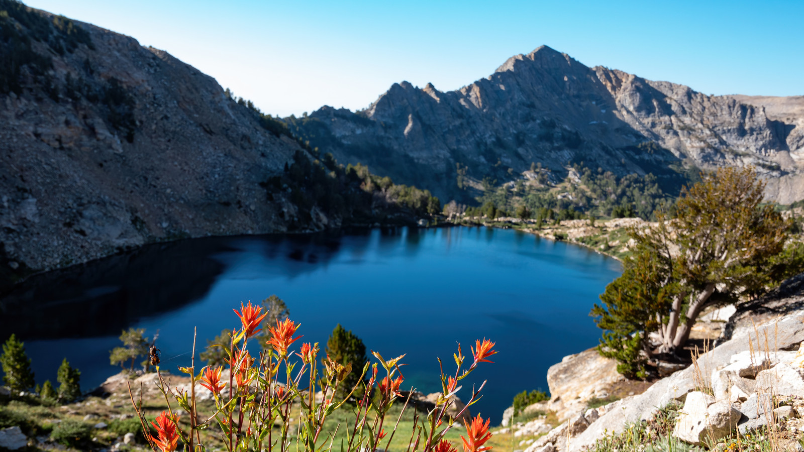 A significant consequence of fertilizer runoff in aquatic ecosystems is  eutrophication - Olimpum, image size:1600x900