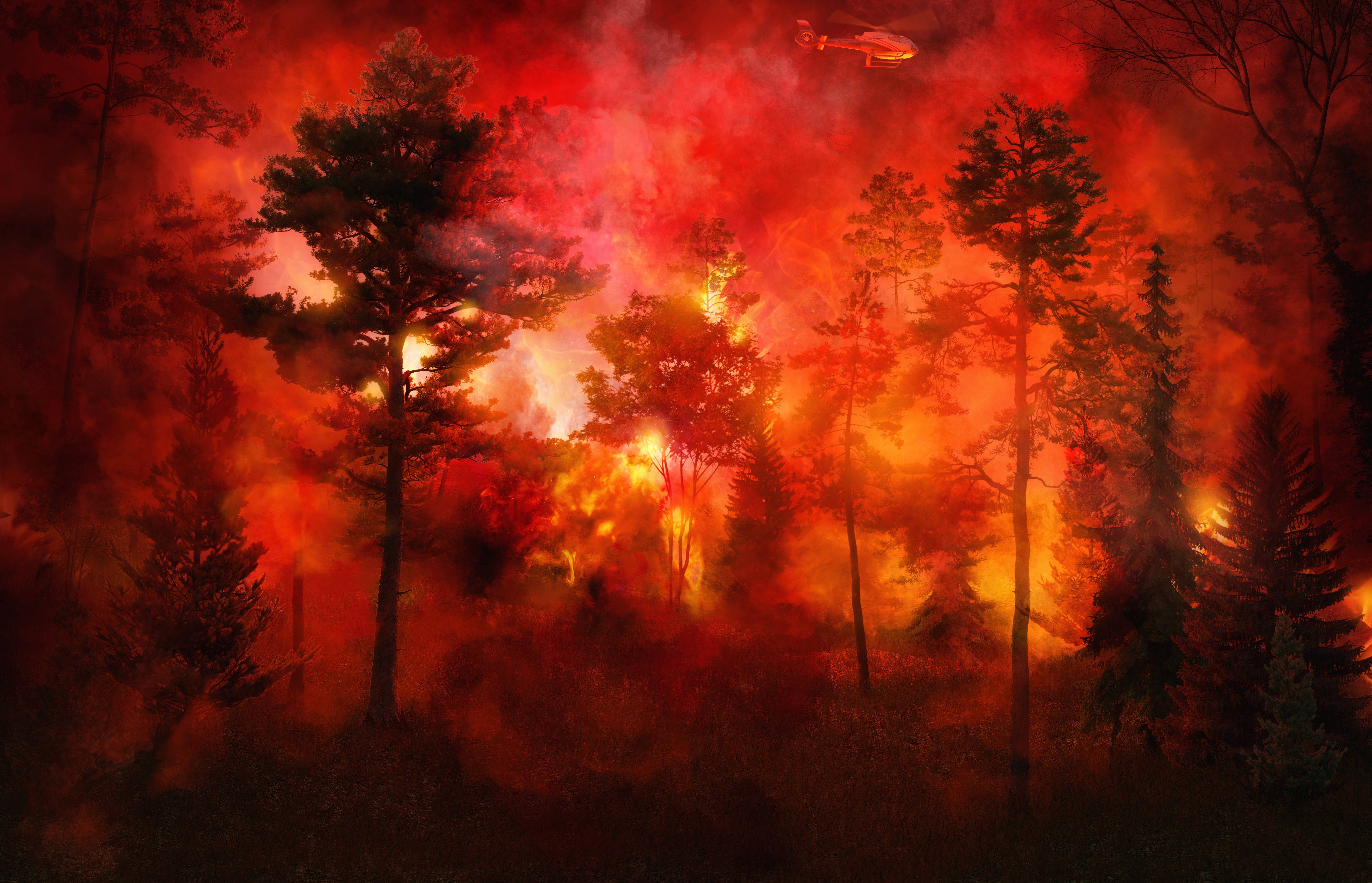 Dramatic Bushfires Future Natural Disasters You Need To Watch Out For