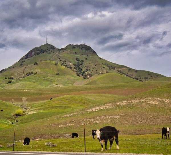 Cali Countryside California's Cutest Countryside Town Has The