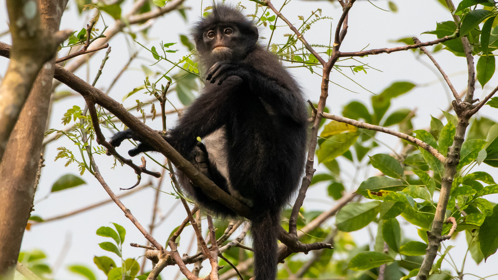 This Underrated National Park Continues To Save Countless Animals From ...